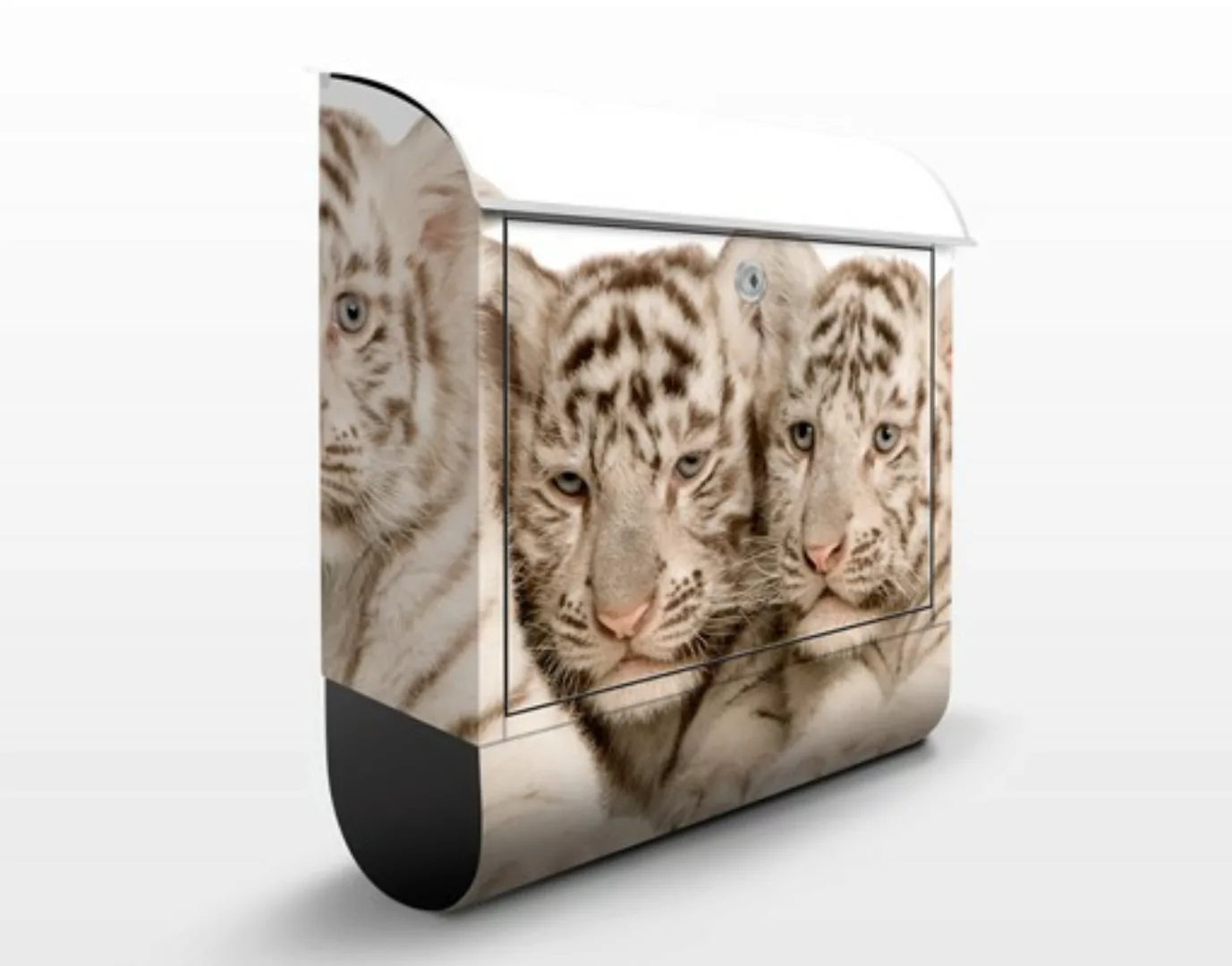 Briefkasten Tiere Königstigerbabys günstig online kaufen