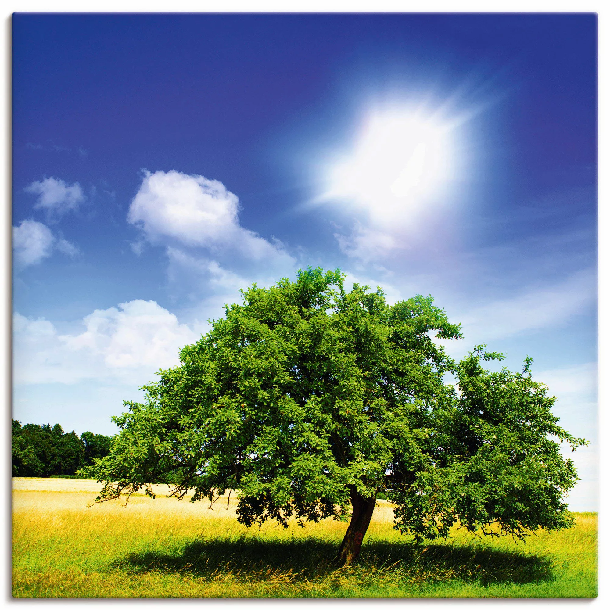 Artland Wandbild »Baum des Lebens«, Bäume, (1 St.), als Leinwandbild, Poste günstig online kaufen