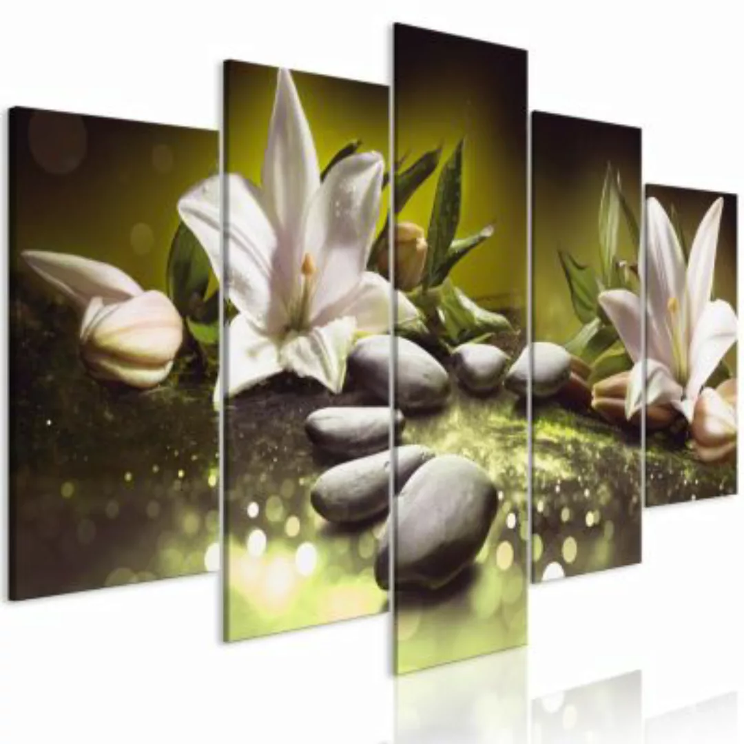 artgeist Wandbild Lilies and Stones (5 Parts) Wide Green mehrfarbig Gr. 200 günstig online kaufen