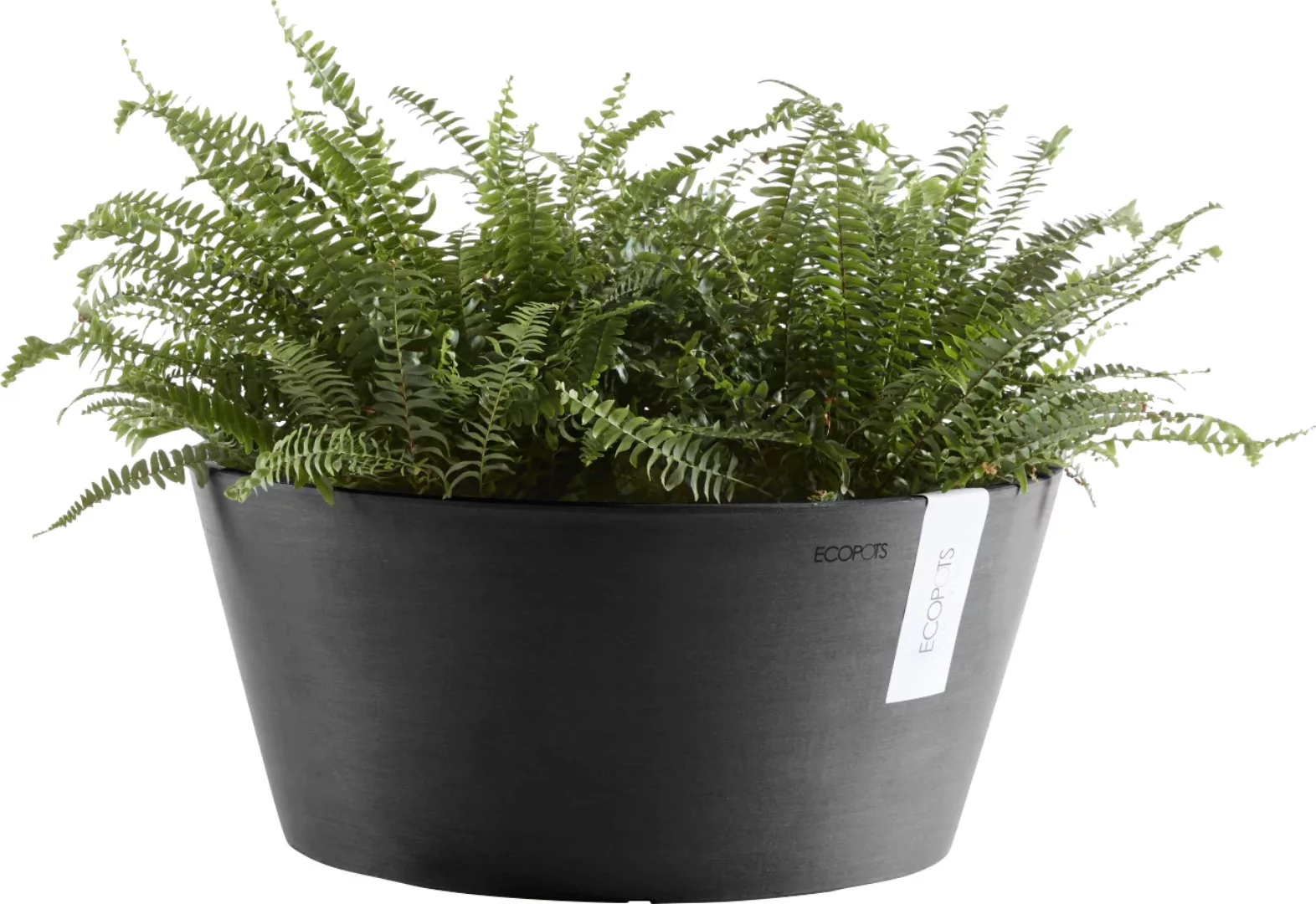 Ecopots Pflanzschale Frankfurt Dunkelgrau 40 cm günstig online kaufen