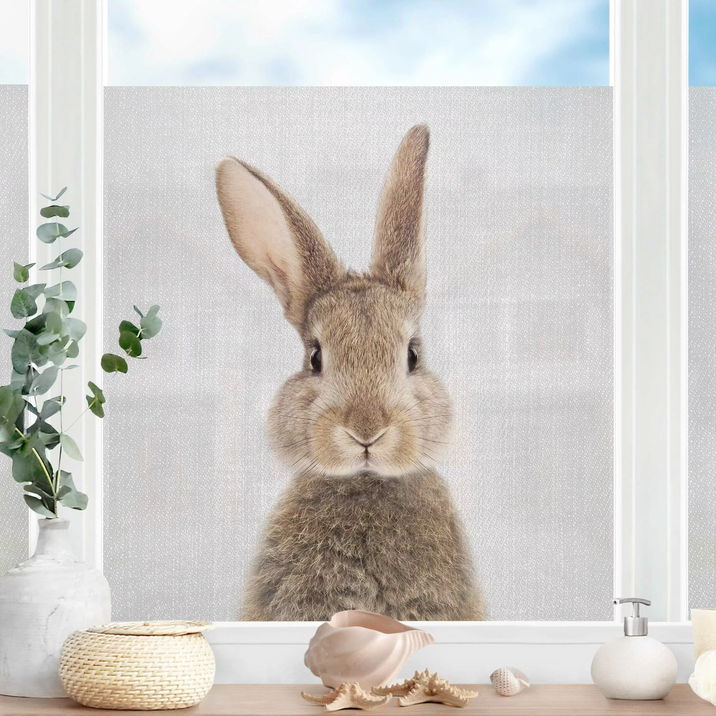 Fensterfolie Hase Hilbert günstig online kaufen