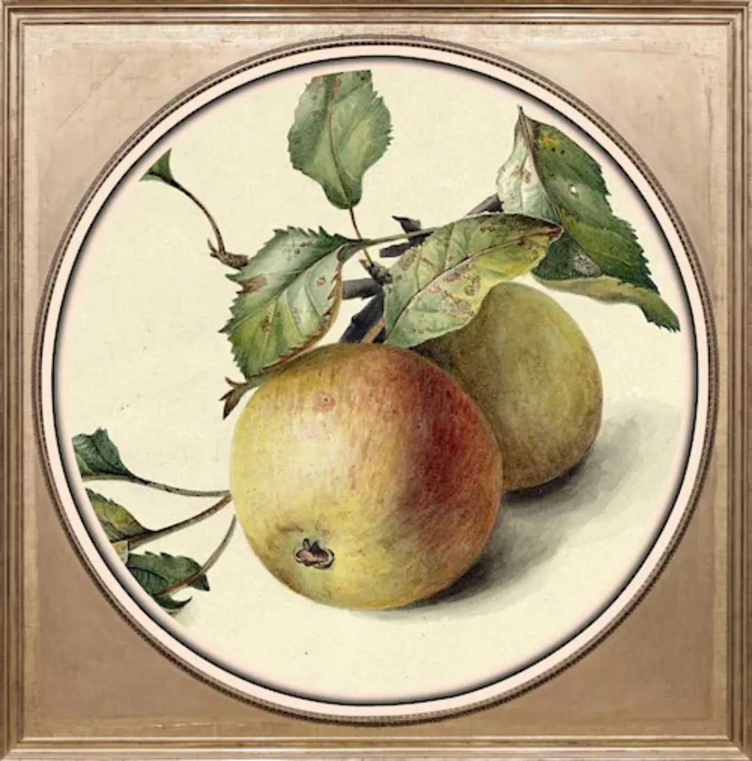 queence Acrylglasbild "Äpfel" günstig online kaufen