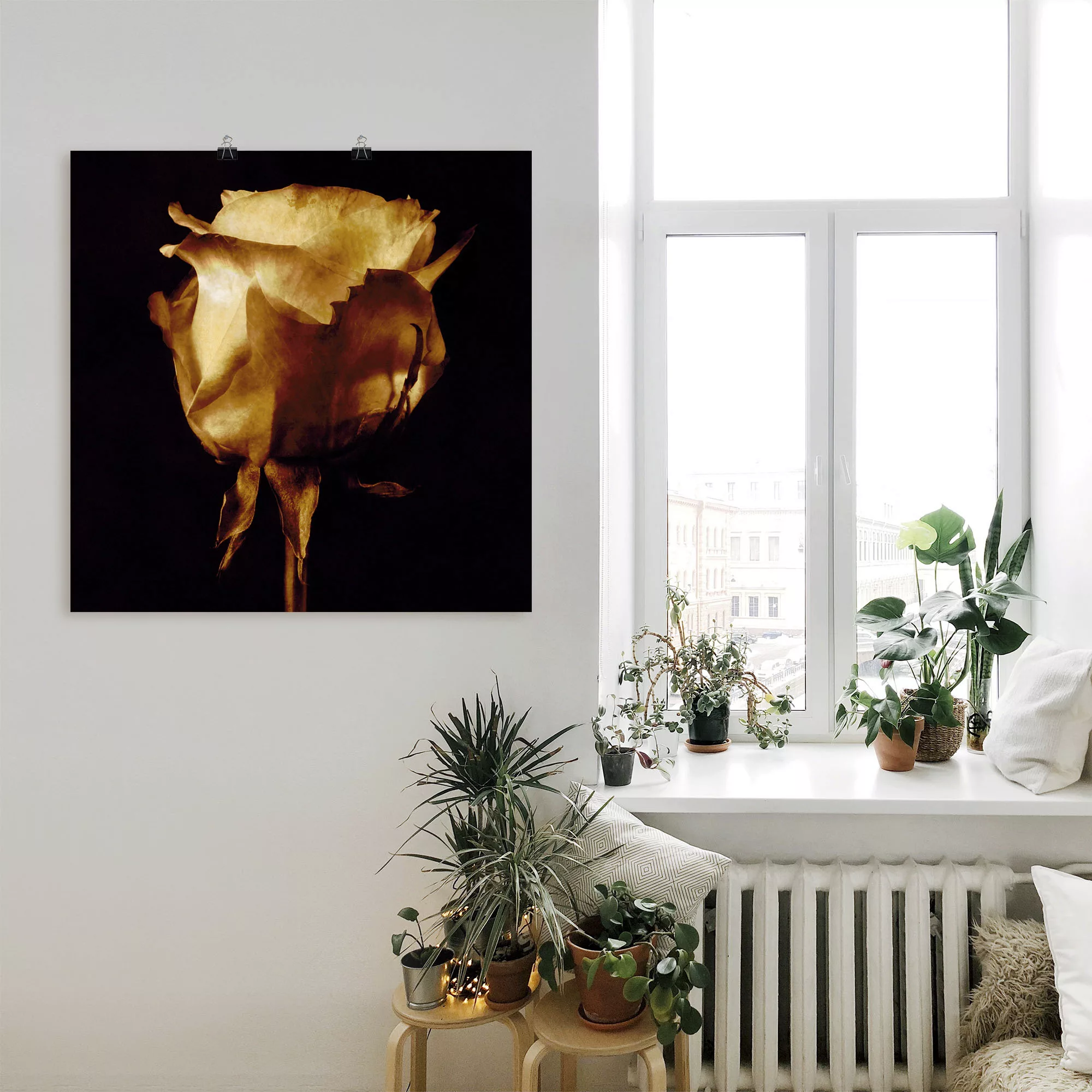 Artland Wandbild »Vergoldete Rose«, Blumen, (1 St.), als Leinwandbild, Post günstig online kaufen