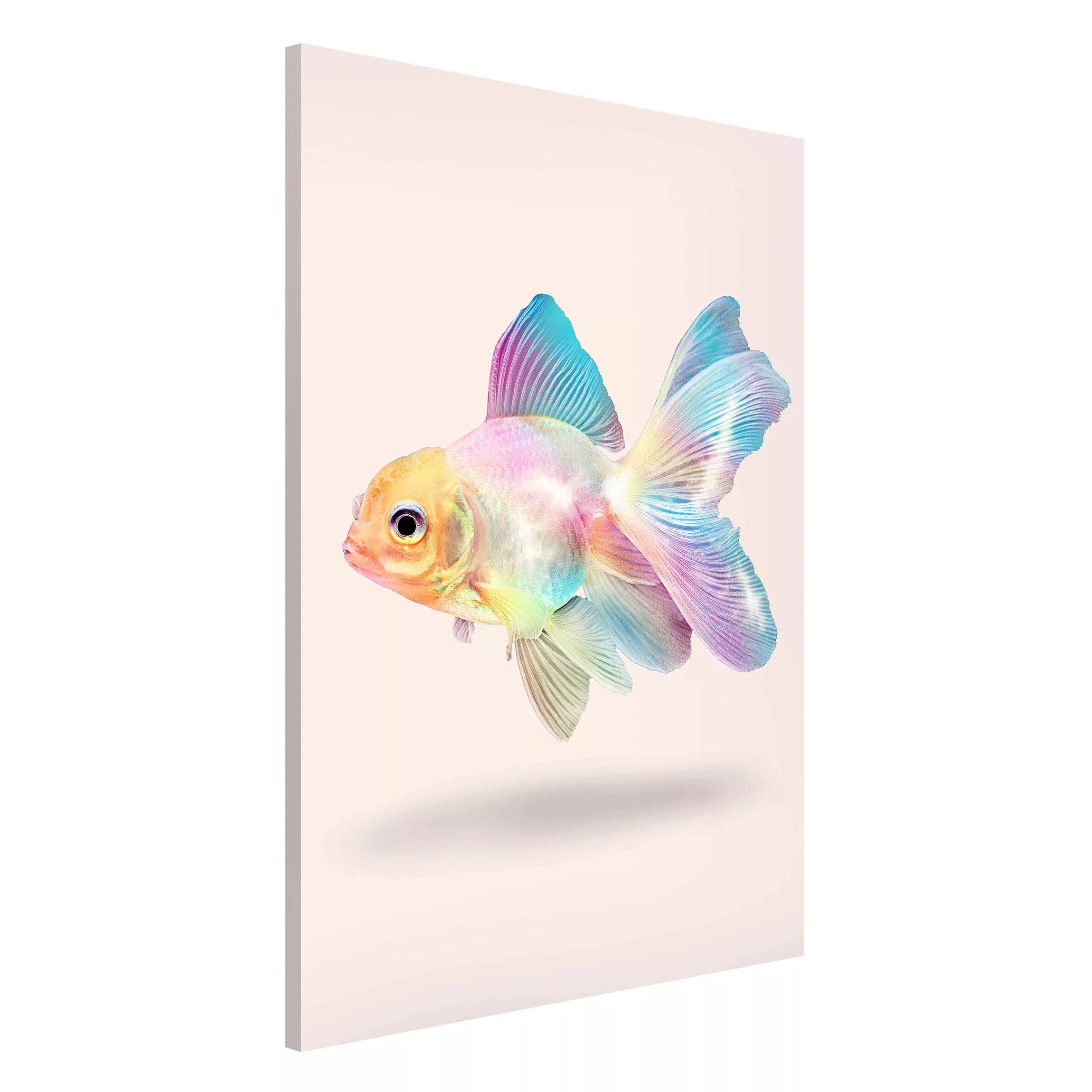 Magnettafel Tiere - Hochformat 2:3 Fisch in Pastell günstig online kaufen