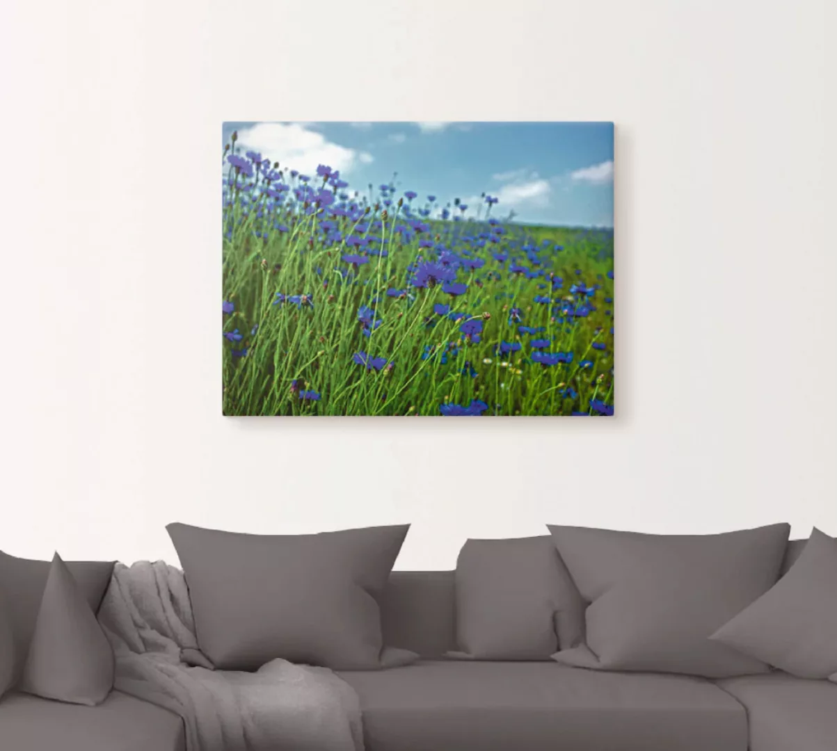 Artland Wandbild "Kornblumenwiese", Blumenwiese, (1 St.), als Leinwandbild, günstig online kaufen