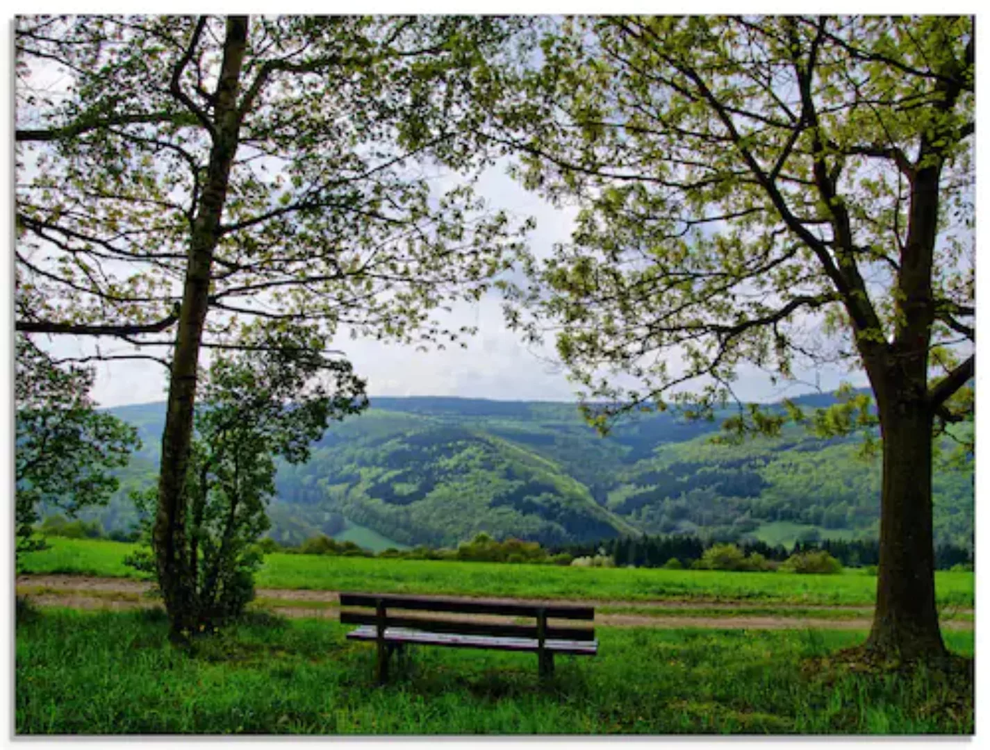 Artland Glasbild »Ausblick in den Frühling«, Felder, (1 St.), in verschiede günstig online kaufen