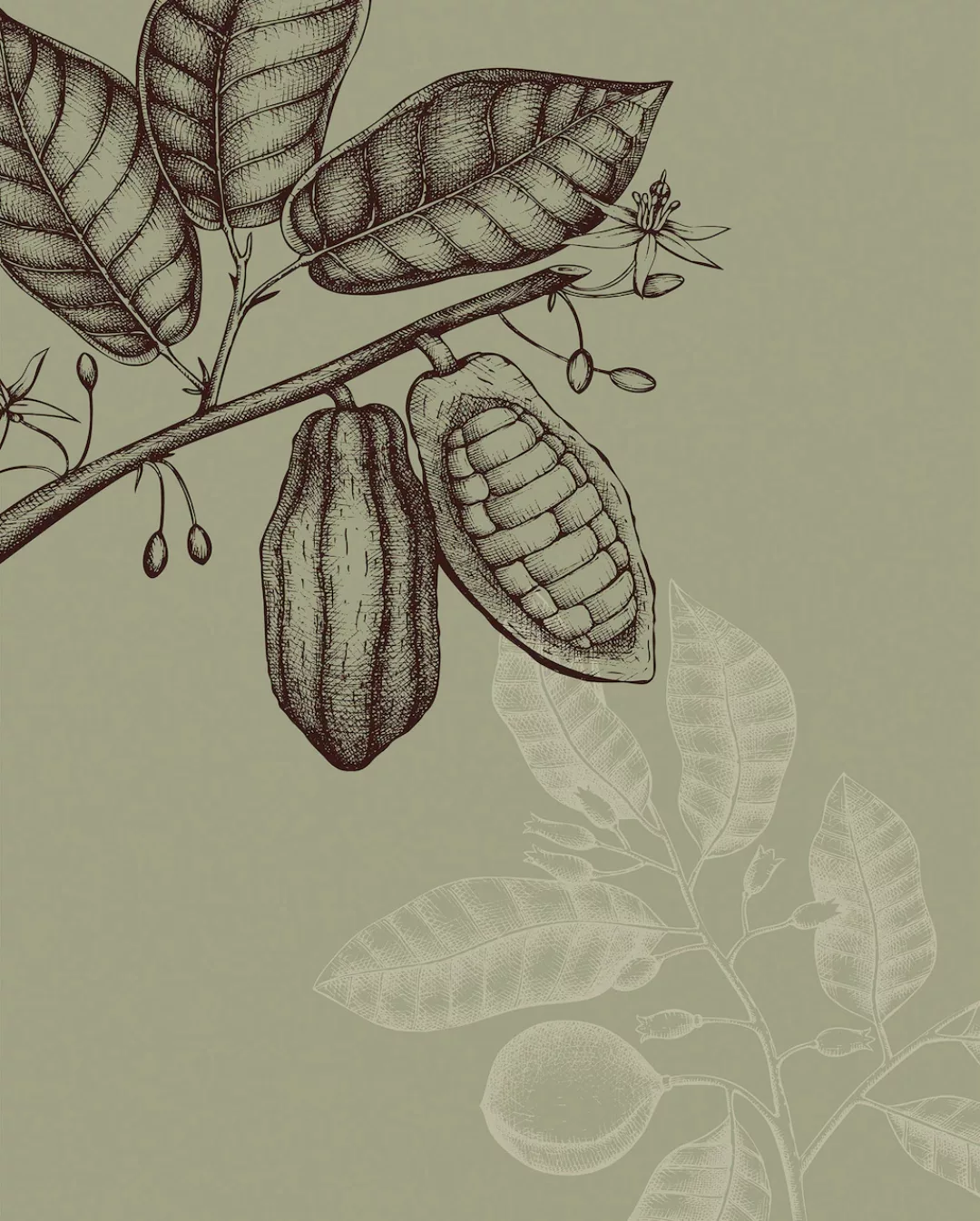 Komar Wandbild "Wild Cocoa", (1 St.), Deutsches Premium-Poster Fotopapier m günstig online kaufen