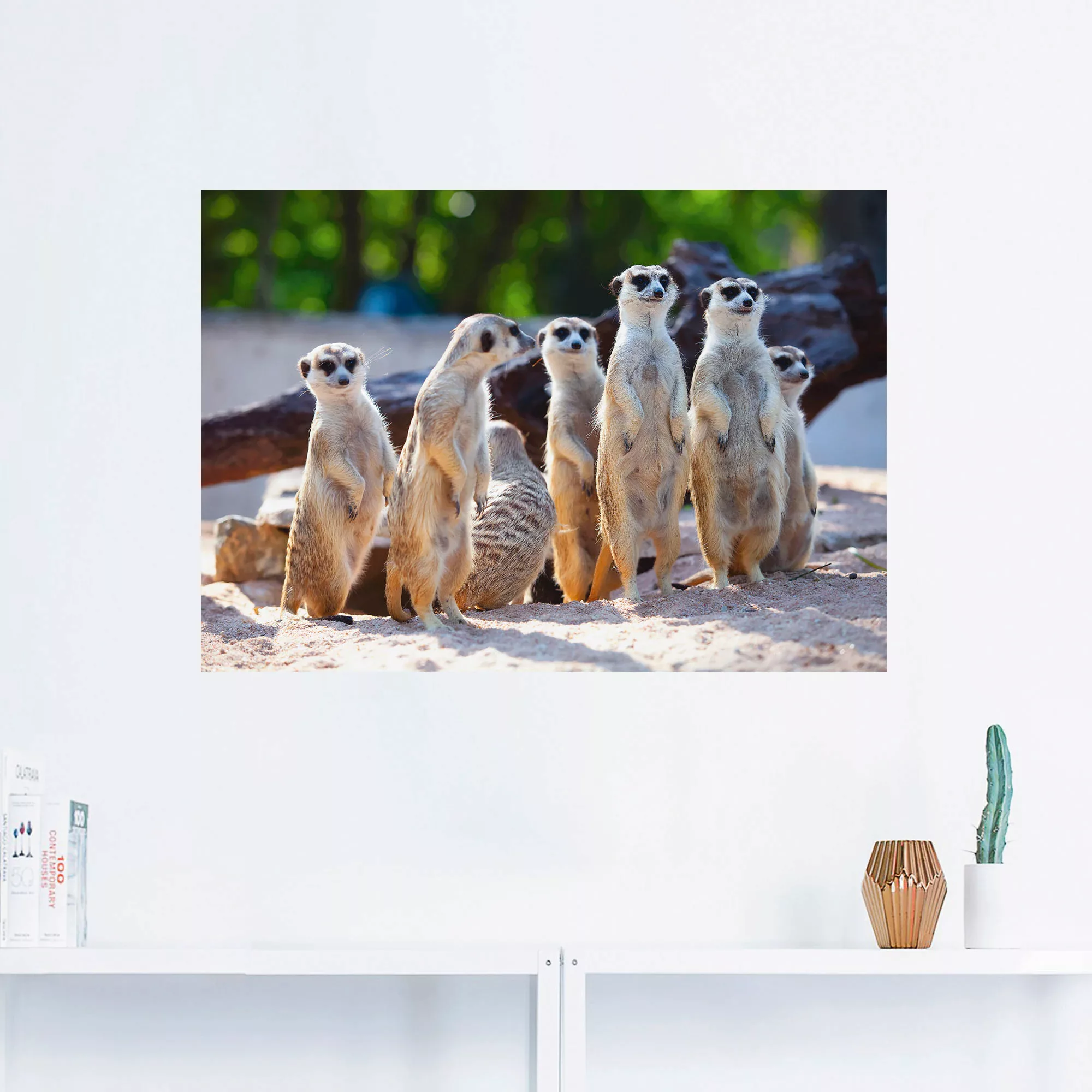Artland Wandbild "Erdmännchenfamilie", Wildtiere, (1 St.) günstig online kaufen