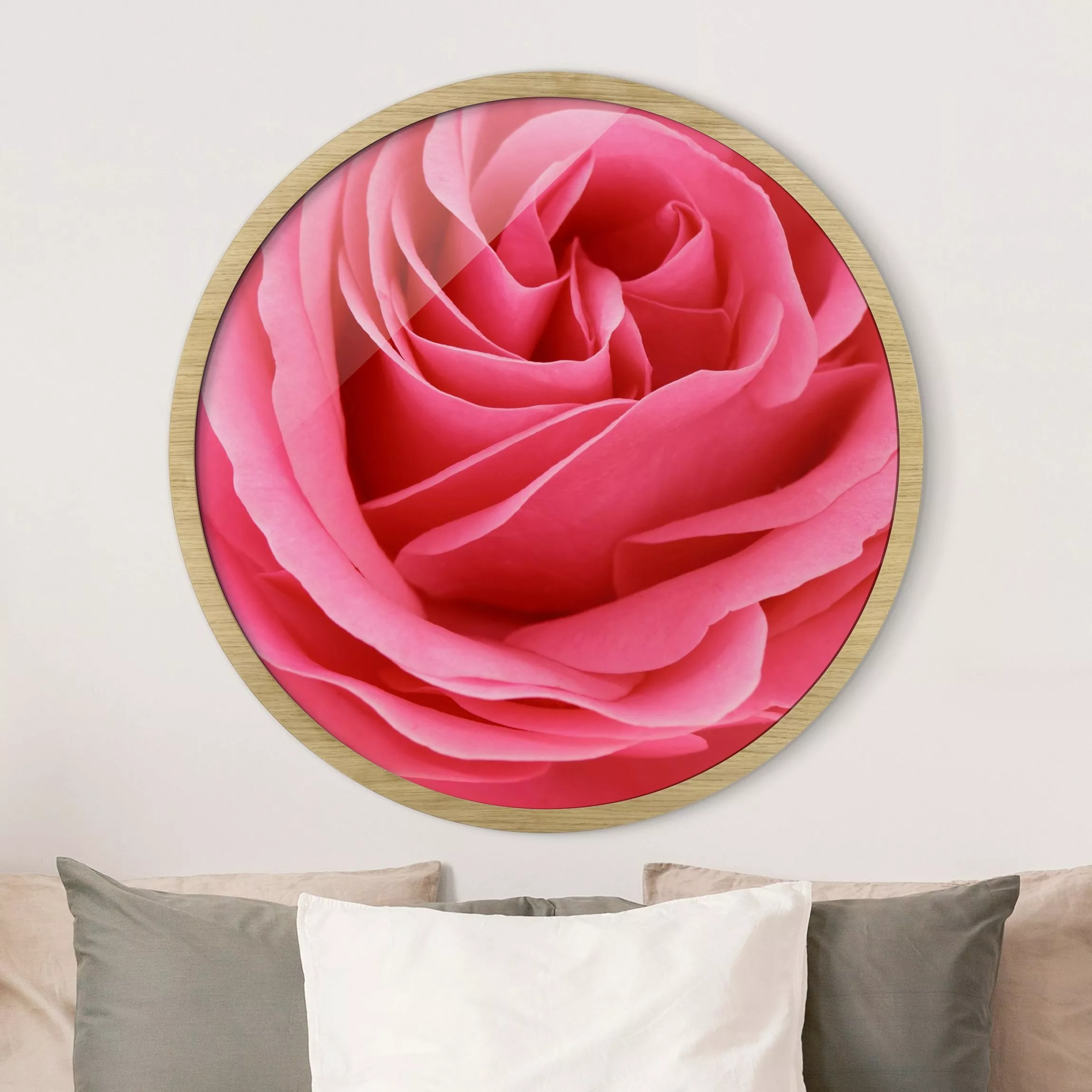 Rundes Gerahmtes Bild Lustful Pink Rose günstig online kaufen