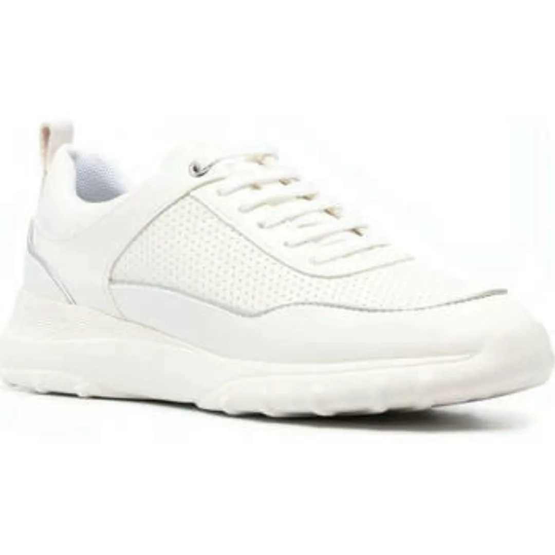 Geox  Sneaker - günstig online kaufen