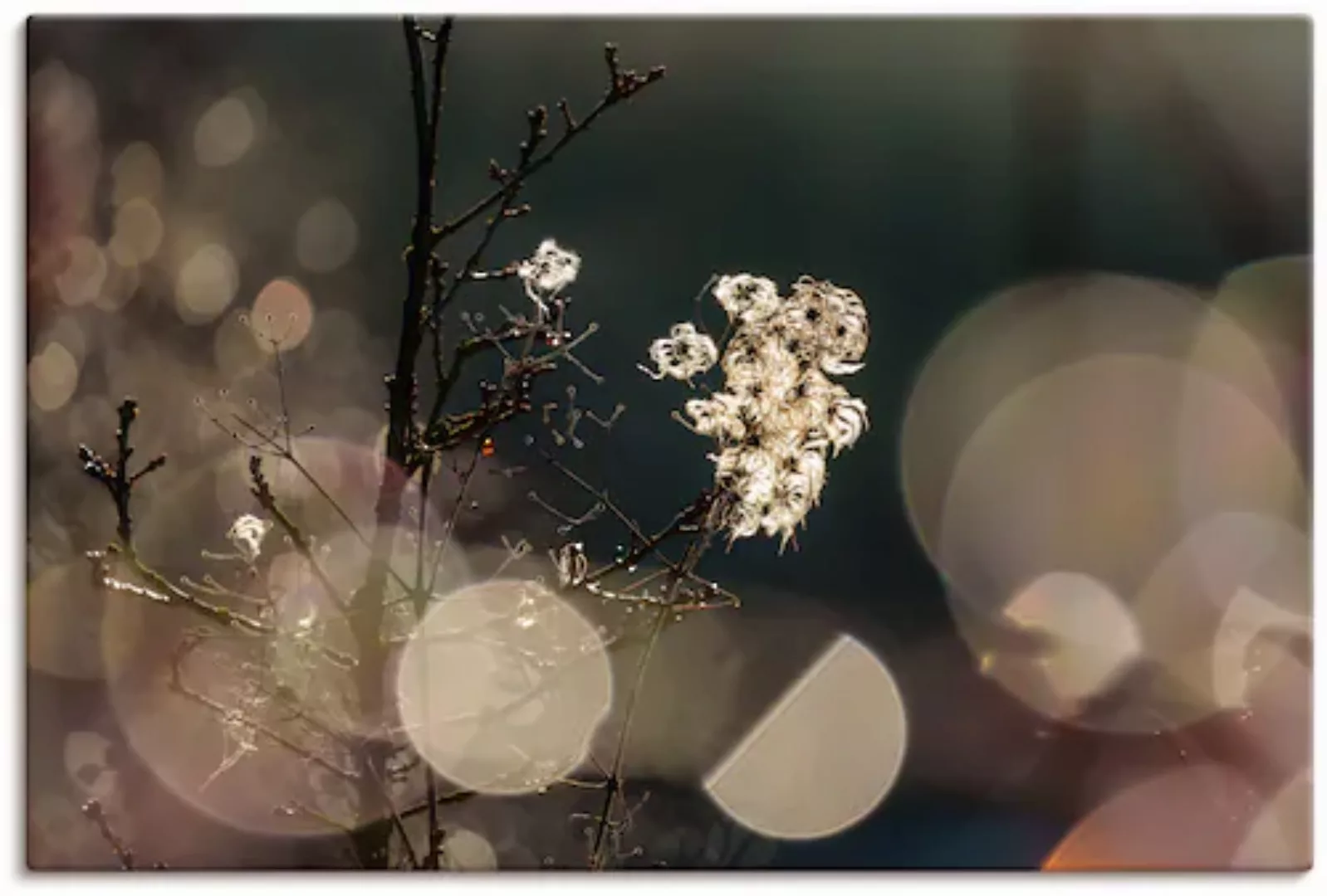 Artland Wandbild »Naturromantik«, Blumenbilder, (1 St.), als Leinwandbild, günstig online kaufen