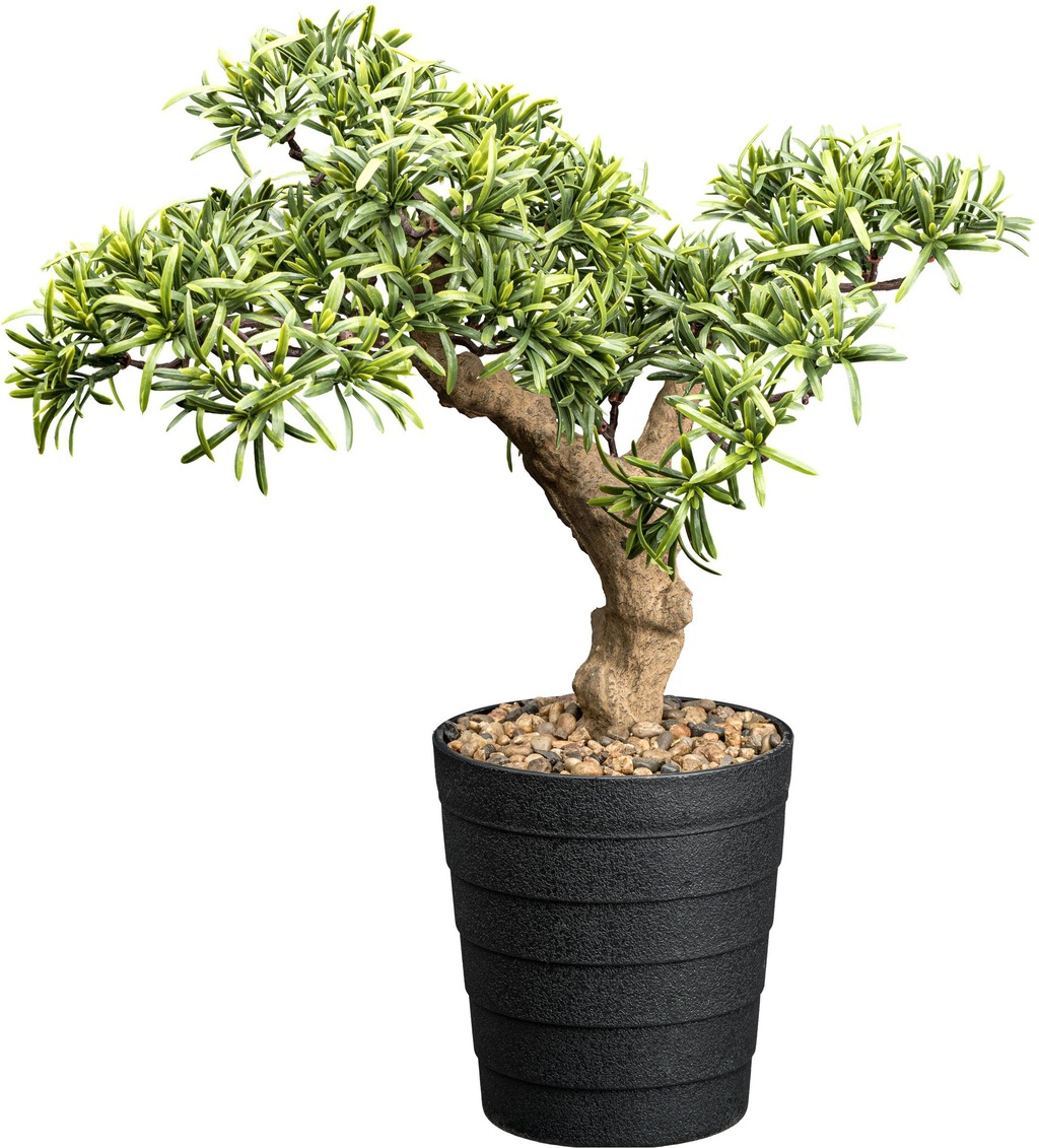 Creativ green Kunstbonsai "Bonsai Steineibe", mit Deko-Kies günstig online kaufen