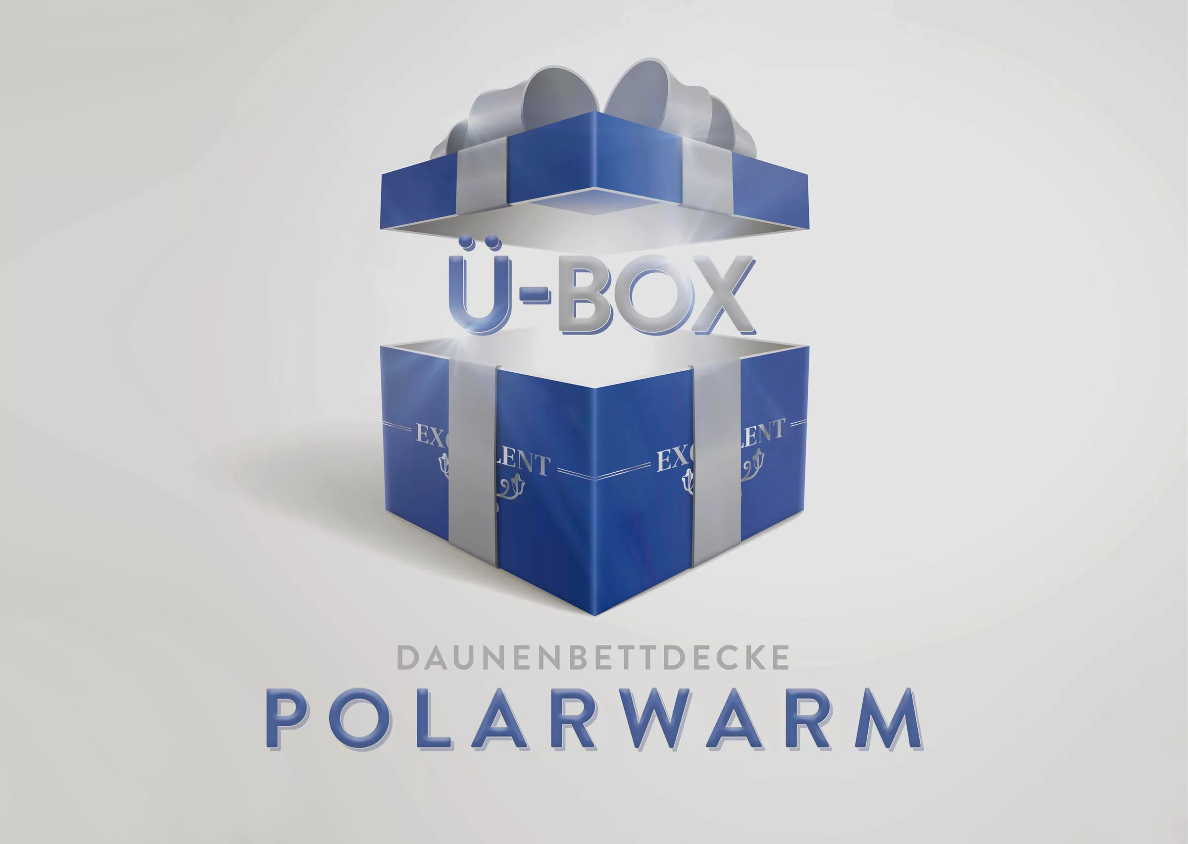 Excellent Daunenbettdecke »Überraschungsbox«, warm, Füllung 90% Daunen, 10% günstig online kaufen