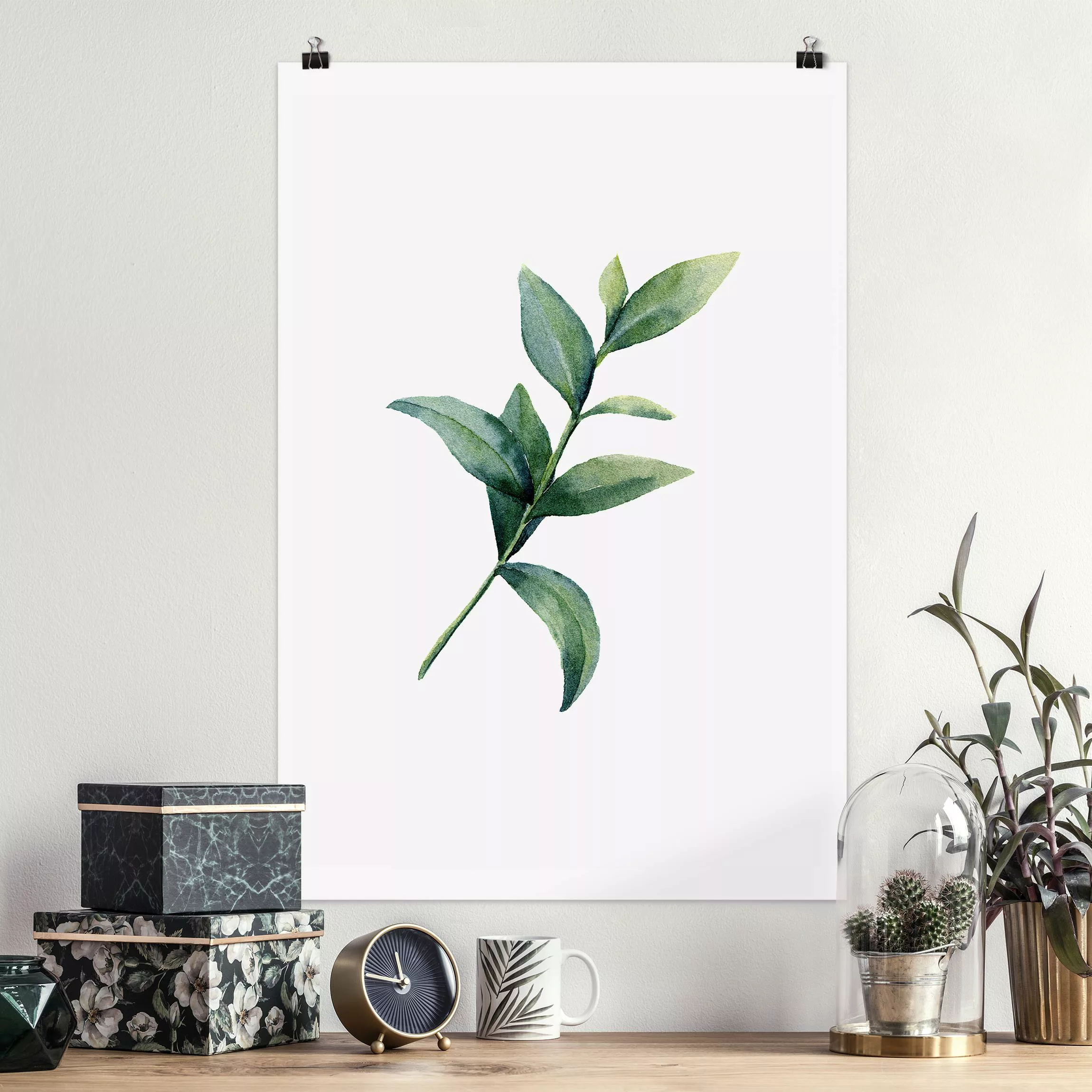 Poster Aquarell Eucalyptus II günstig online kaufen