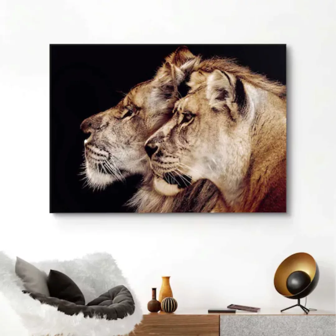 Reinders! Wandbild »Wandbild Löwe und Löwin Raubtier - Löwenkopf - Seitenpo günstig online kaufen