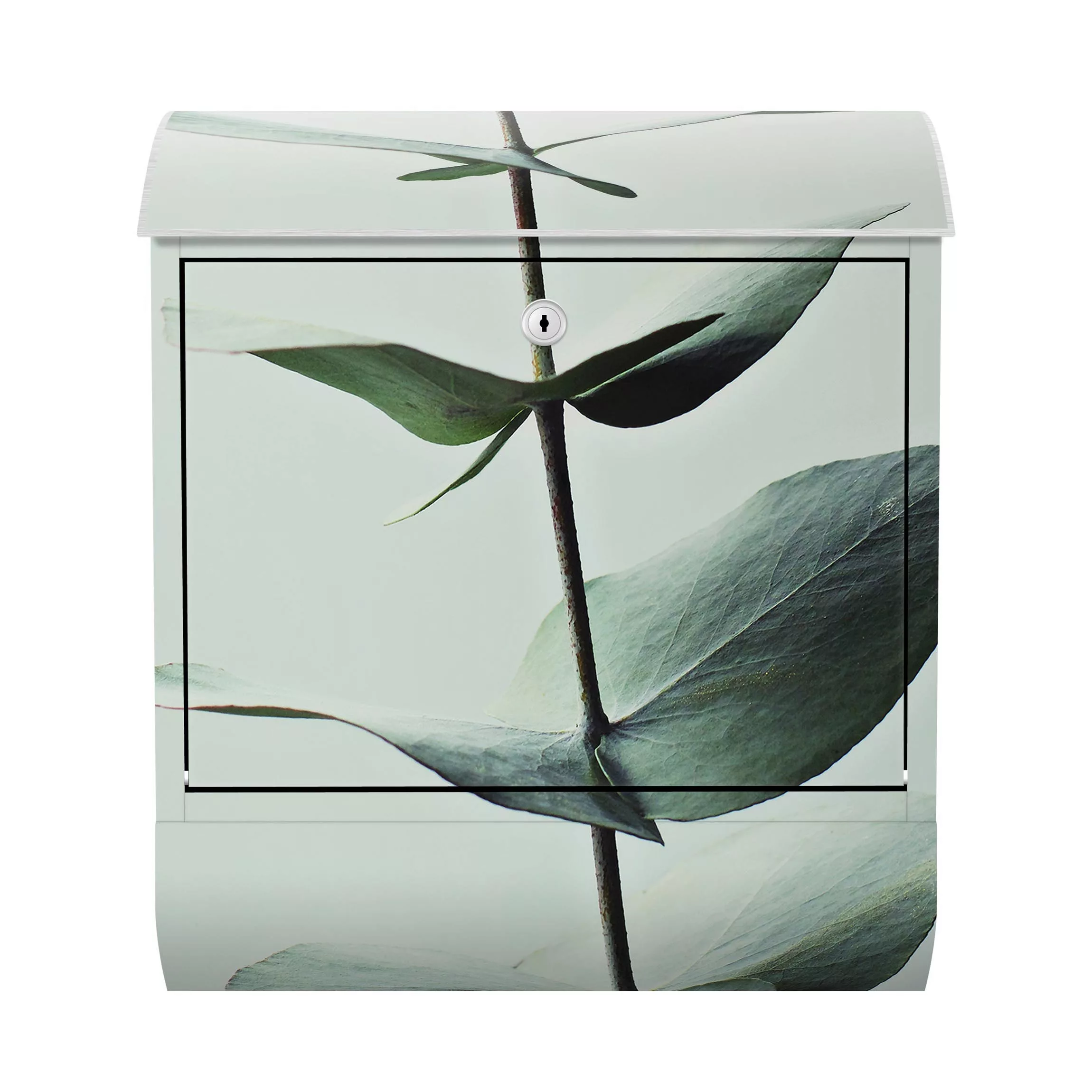 Briefkasten Blumen Symmetrischer Eukalyptuszweig günstig online kaufen