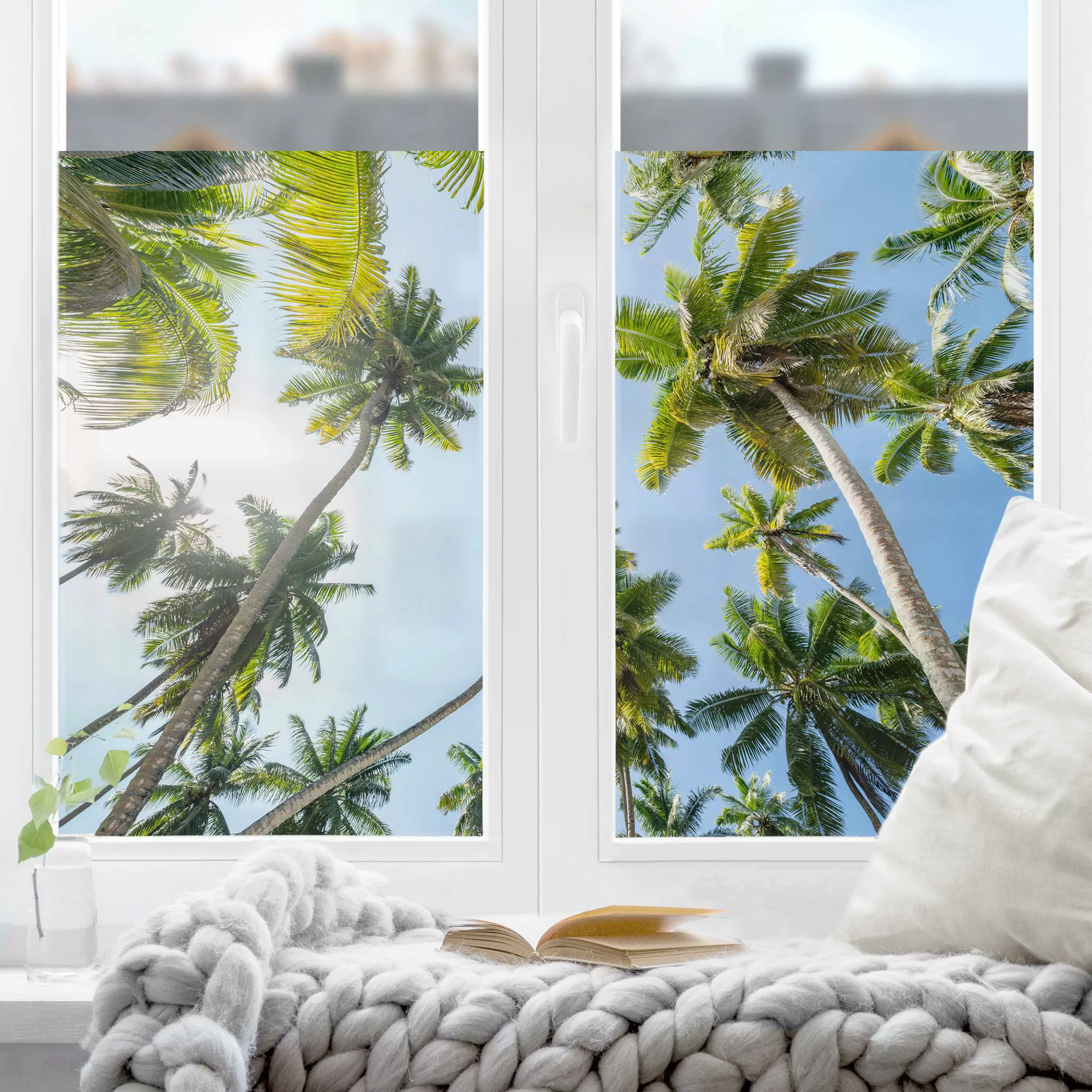 Fensterfolie Palmen Himmel günstig online kaufen