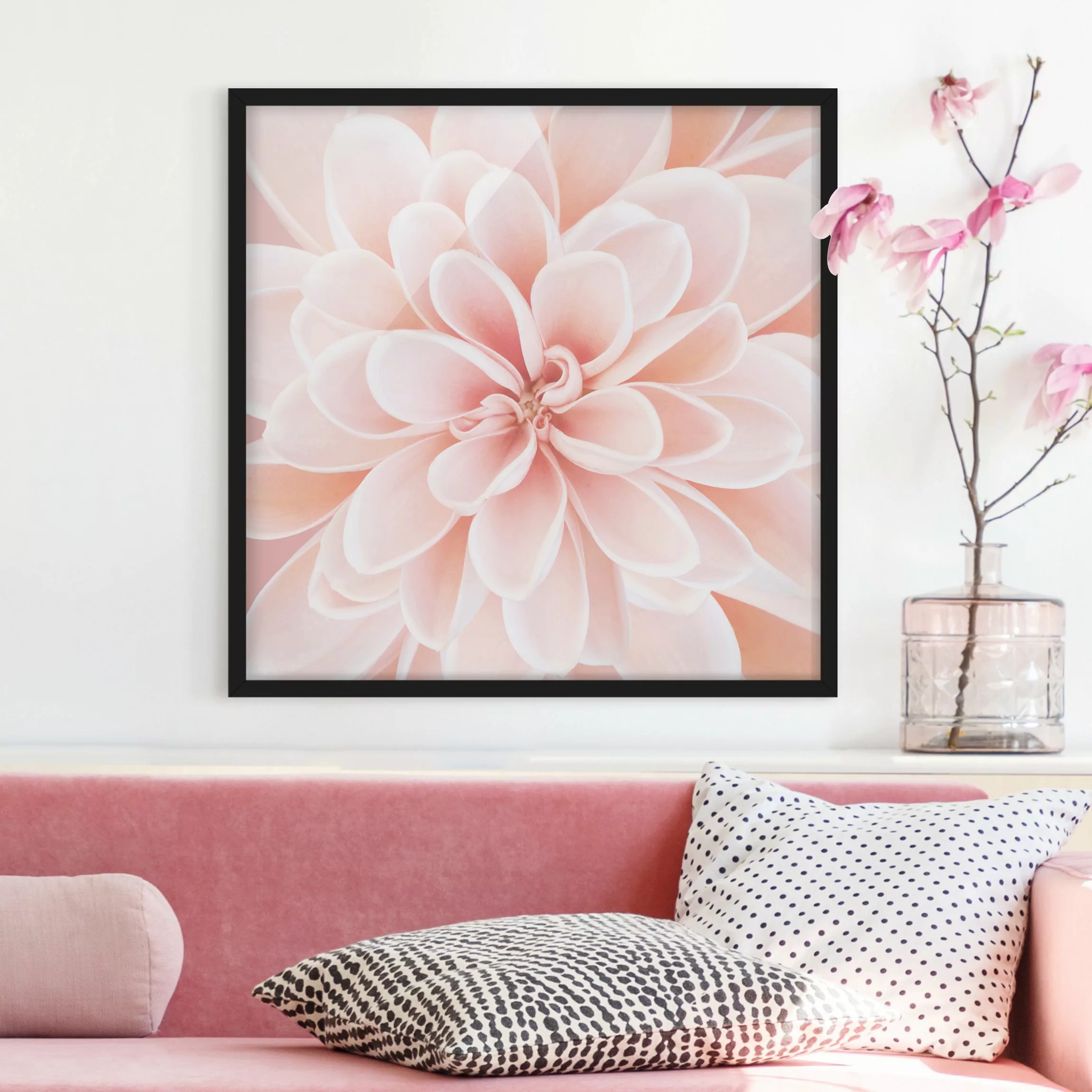 Bild mit Rahmen Dahlie in Pastellrosa günstig online kaufen