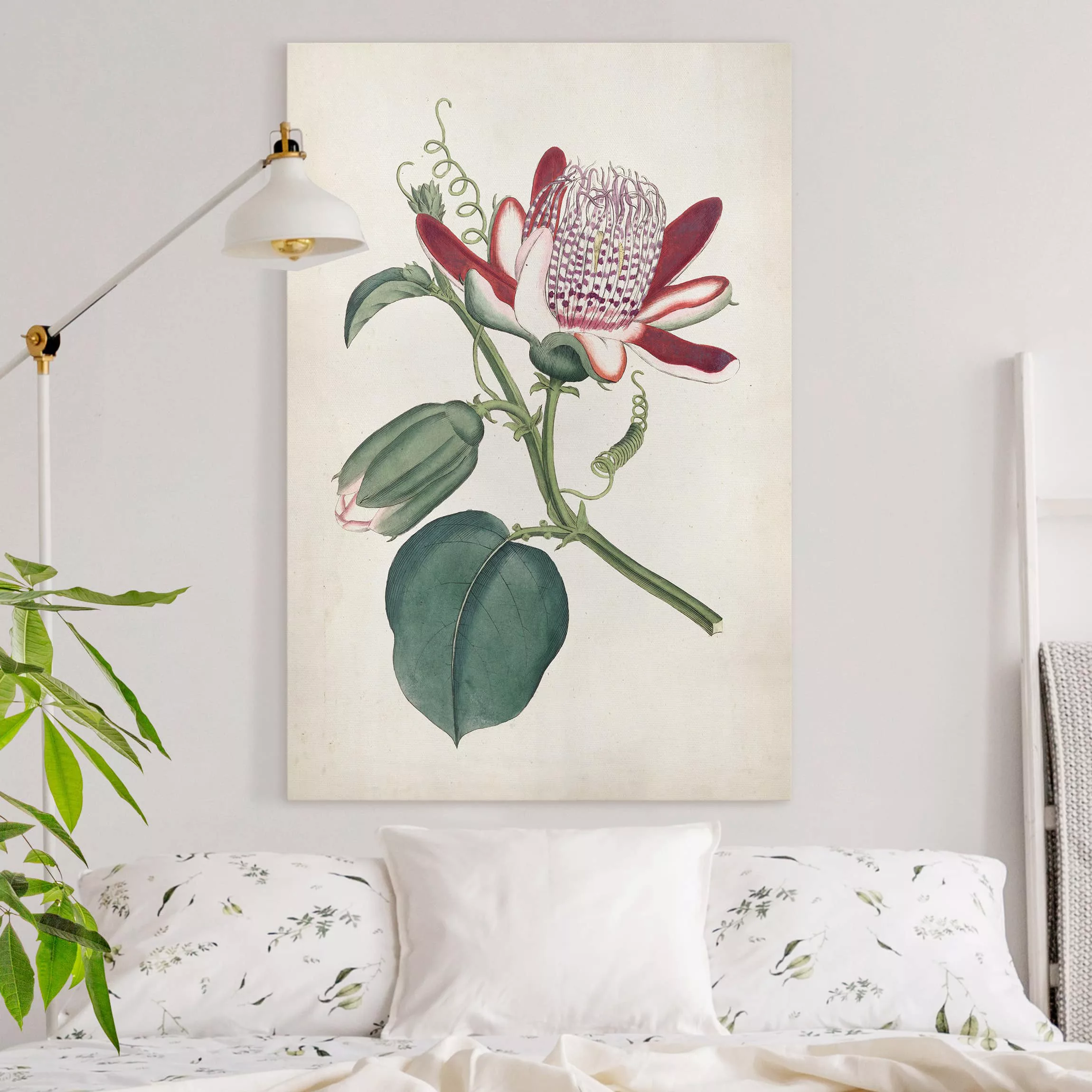 Leinwandbild Blumen - Hochformat Gartenschönheit IV günstig online kaufen