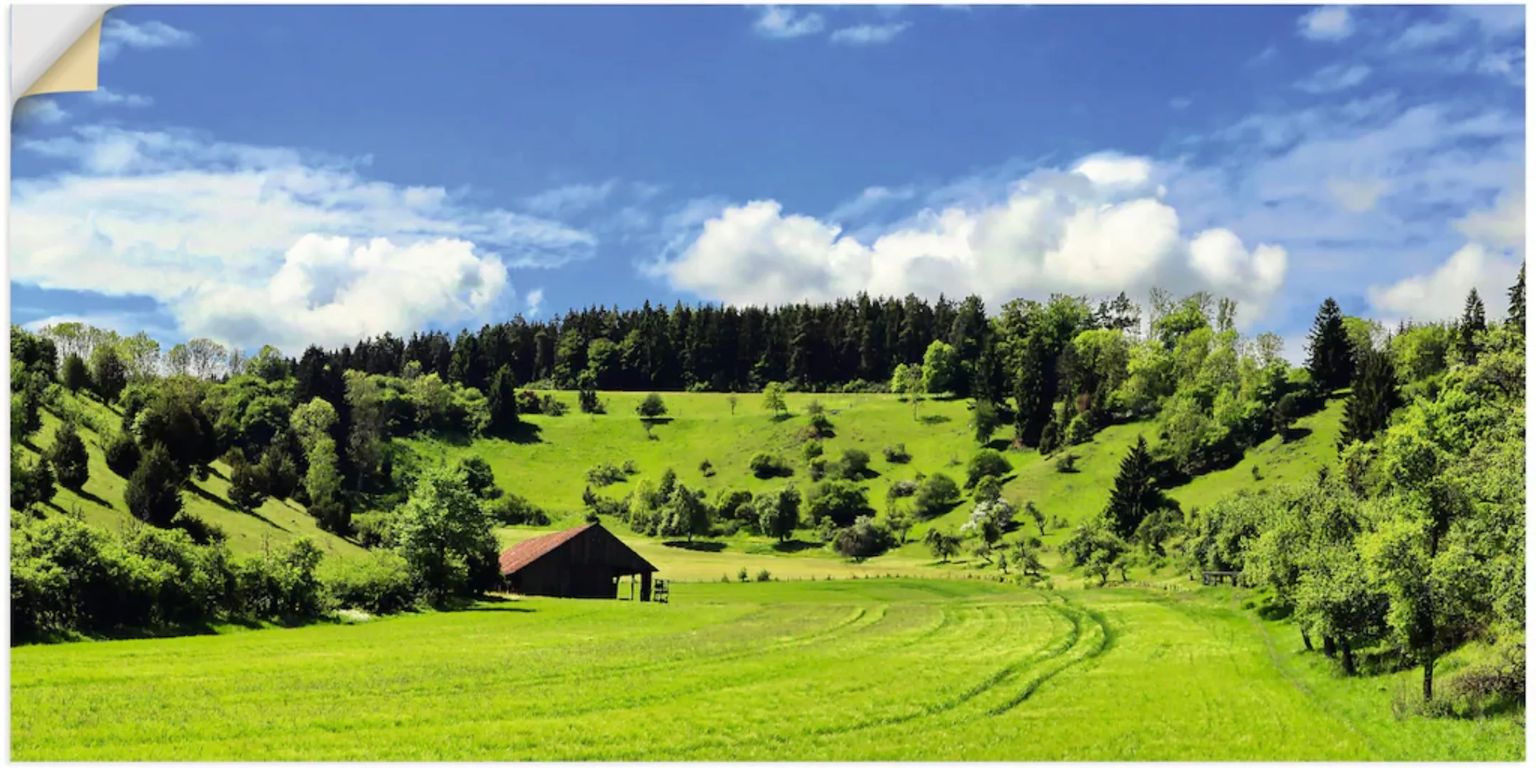 Artland Wandbild "Traumhafte Landschaft im Schwarzwald", Wiesen & Baumbilde günstig online kaufen