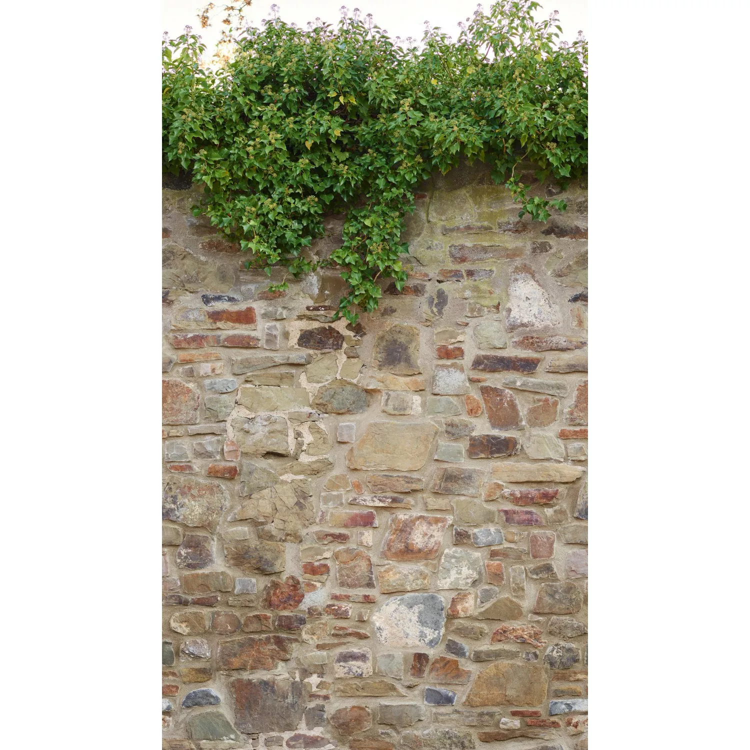 Livingwalls Fototapete Stein-Optik Beige Braun und Grün 159 x 280 cm AS-392 günstig online kaufen