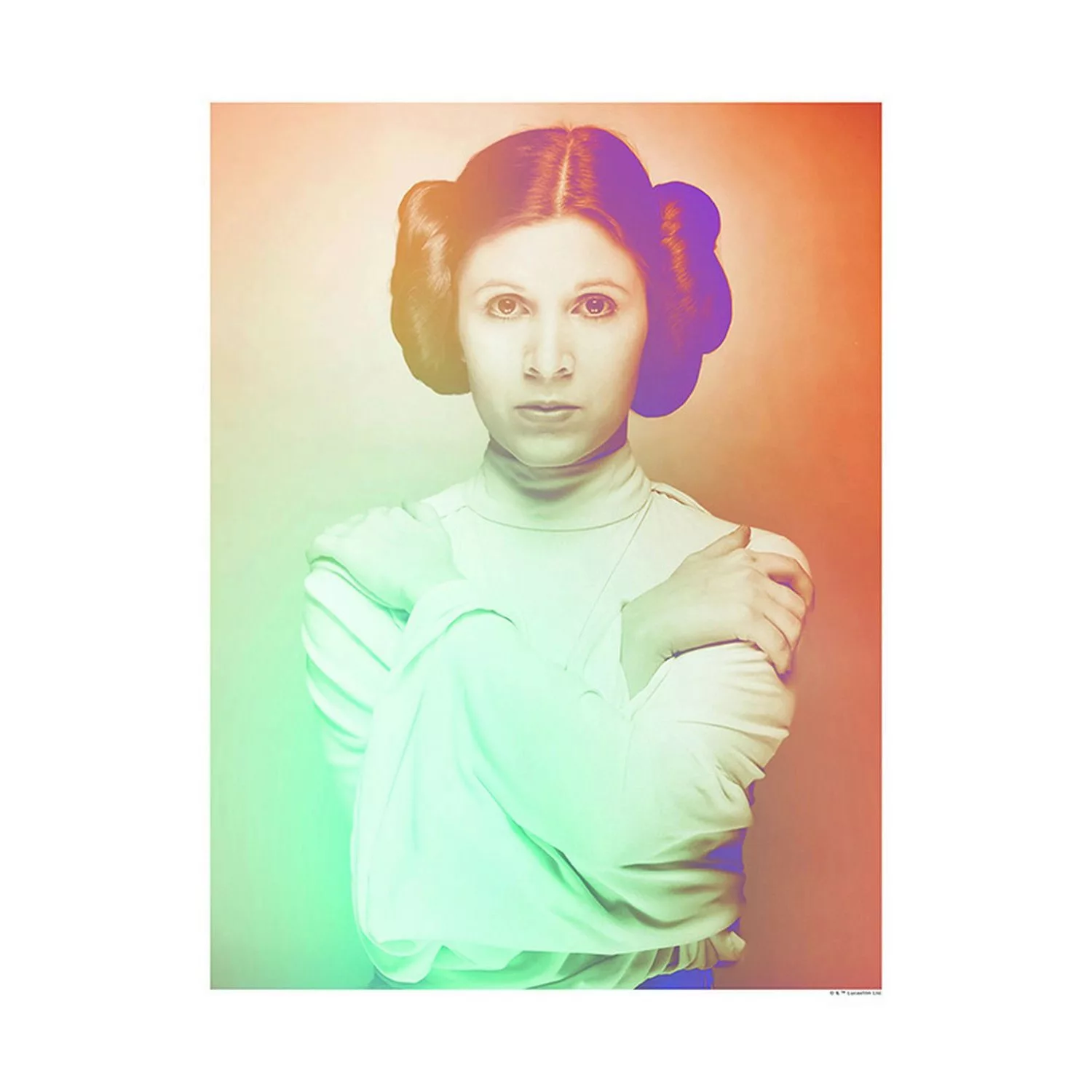 Disney Poster Star Wars Leia Orange und Grün 40 x 50 cm 611658 günstig online kaufen