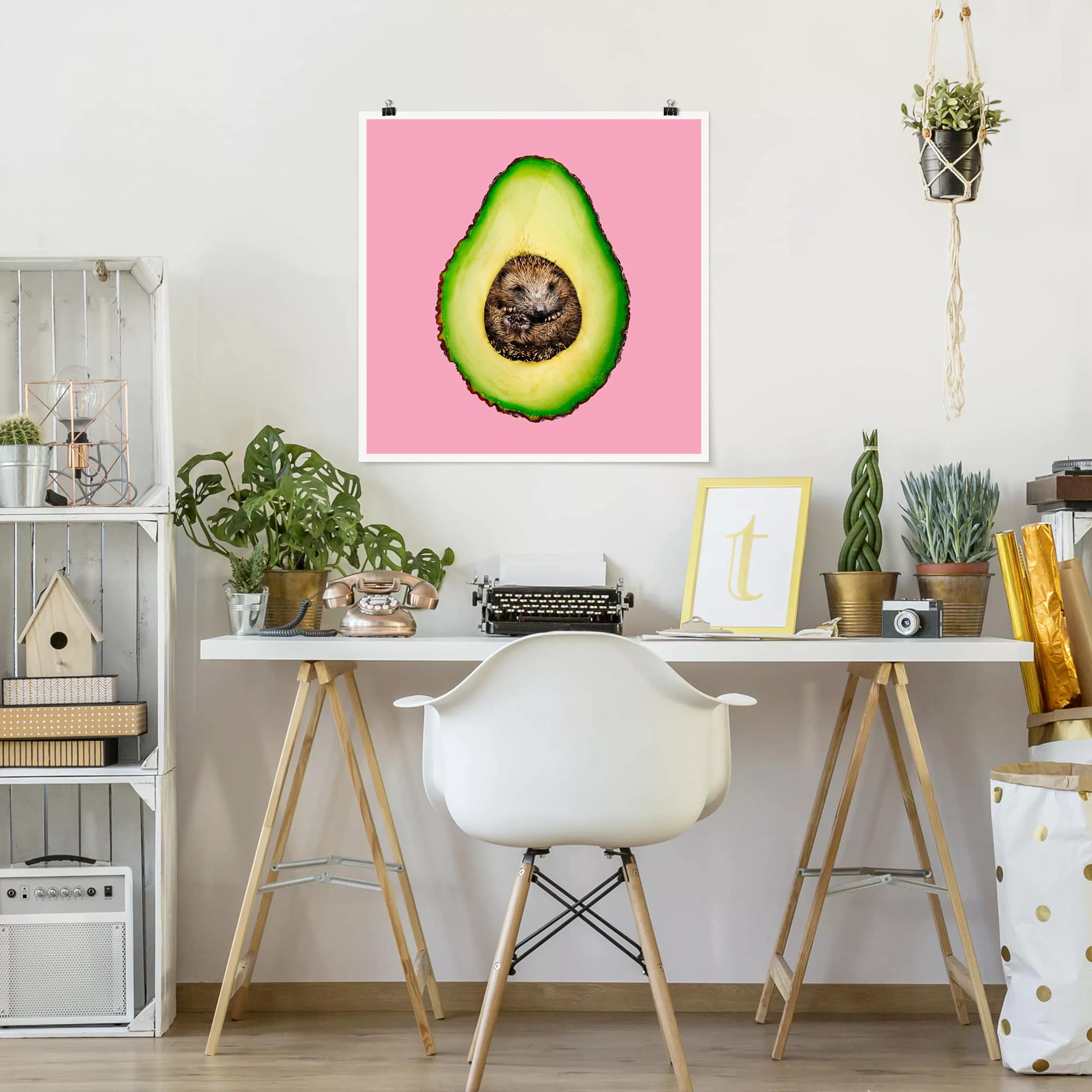 Poster Tiere - Quadrat Avocado mit Igel günstig online kaufen