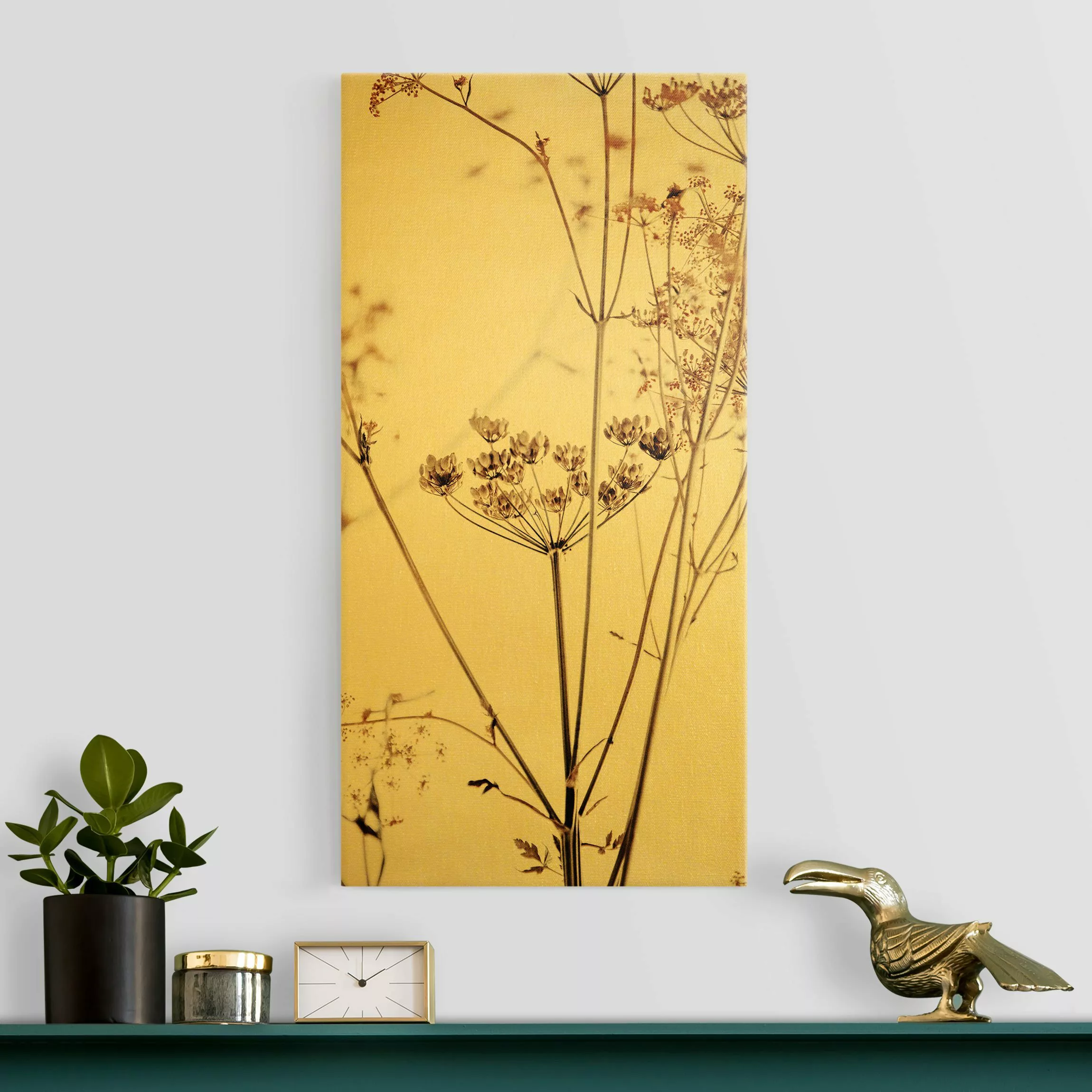 Leinwandbild Trockenblume im Lichtspiel günstig online kaufen