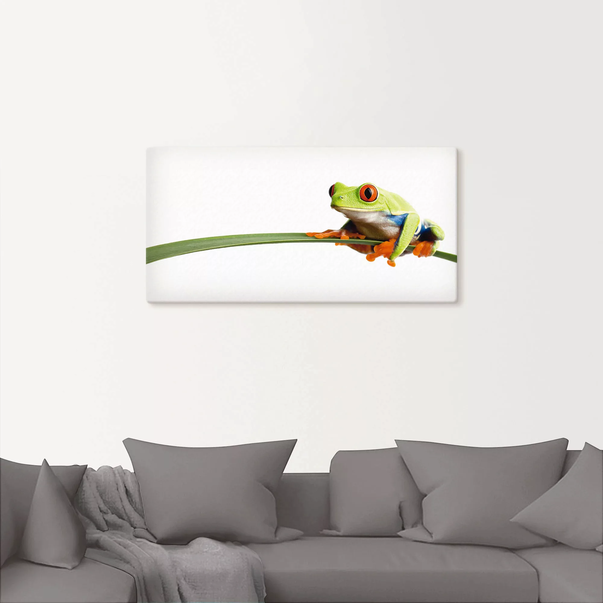 Artland Wandbild "Frosch auf einem Blatt", Wassertiere, (1 St.), als Alubil günstig online kaufen