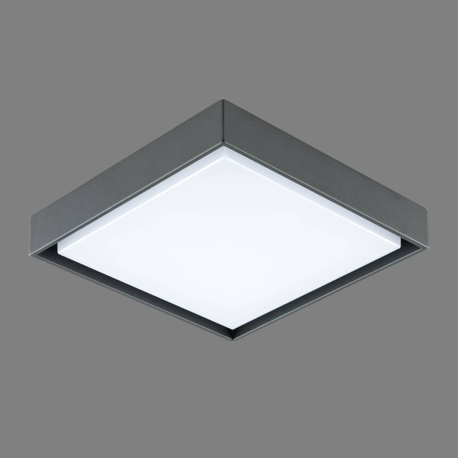 EVN Tectum LED-Außendeckenleuchte eckig, 110 Grad günstig online kaufen