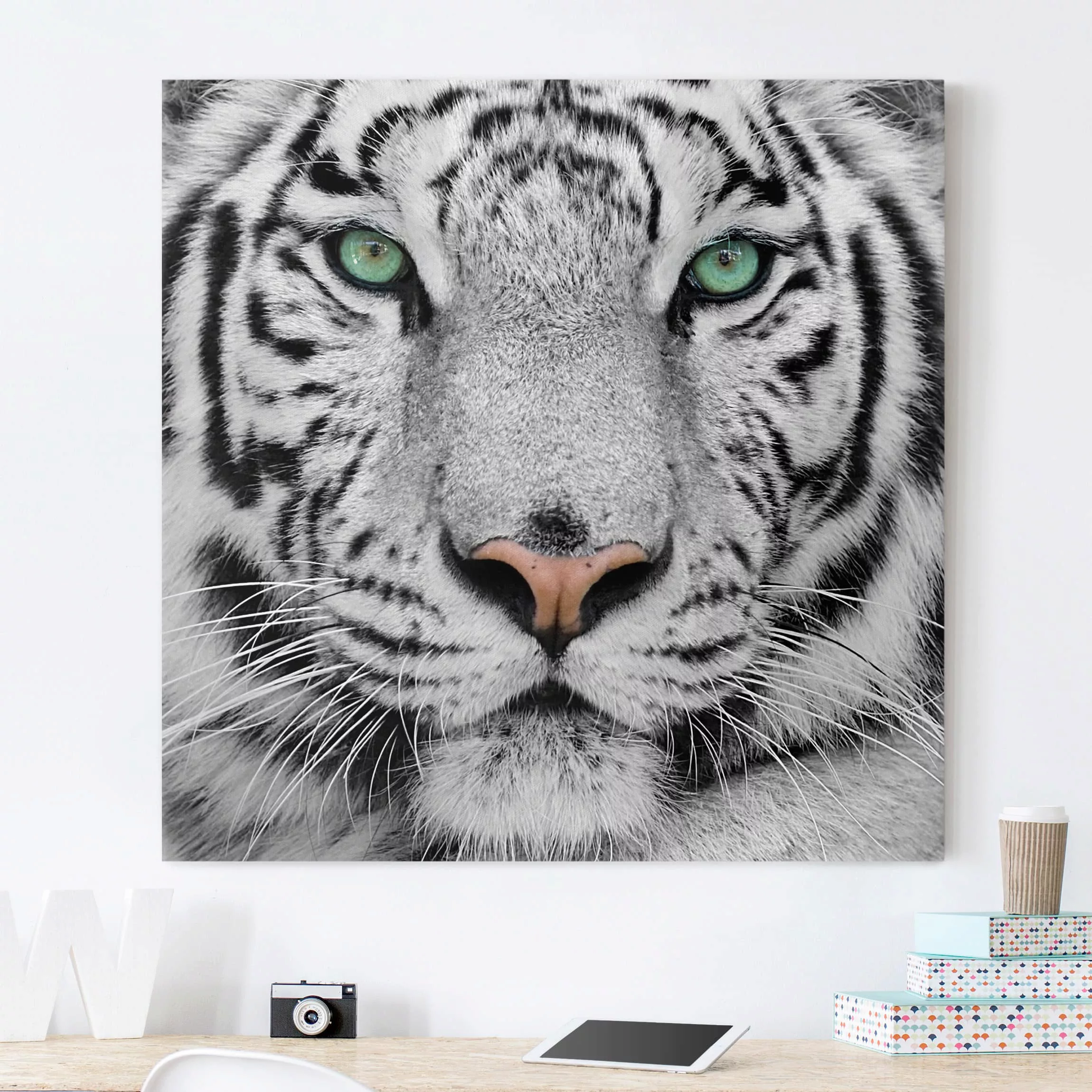 Leinwandbild Tiere - Quadrat Weißer Tiger günstig online kaufen