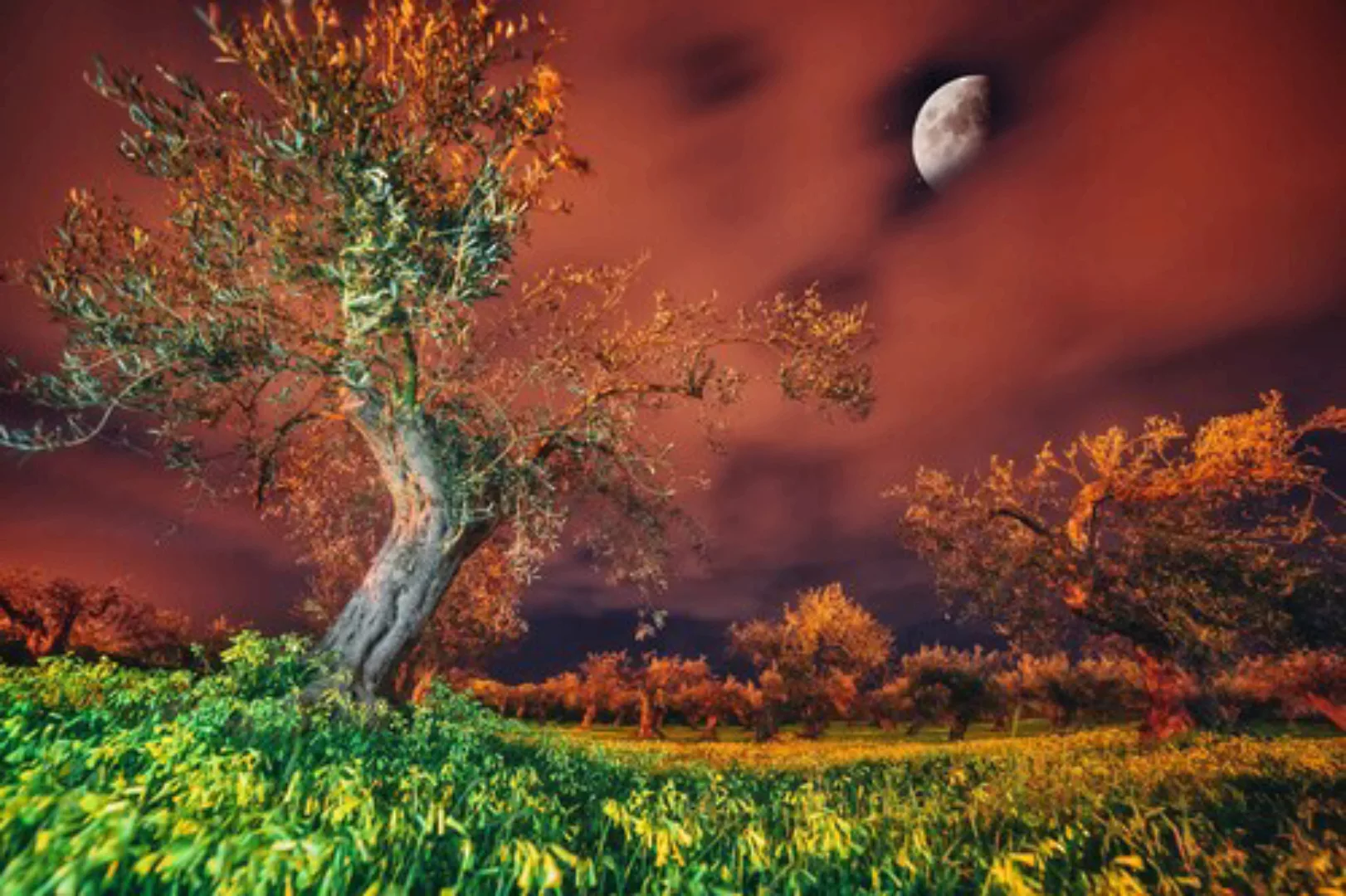 Papermoon Fototapete »baum in landschaft« günstig online kaufen