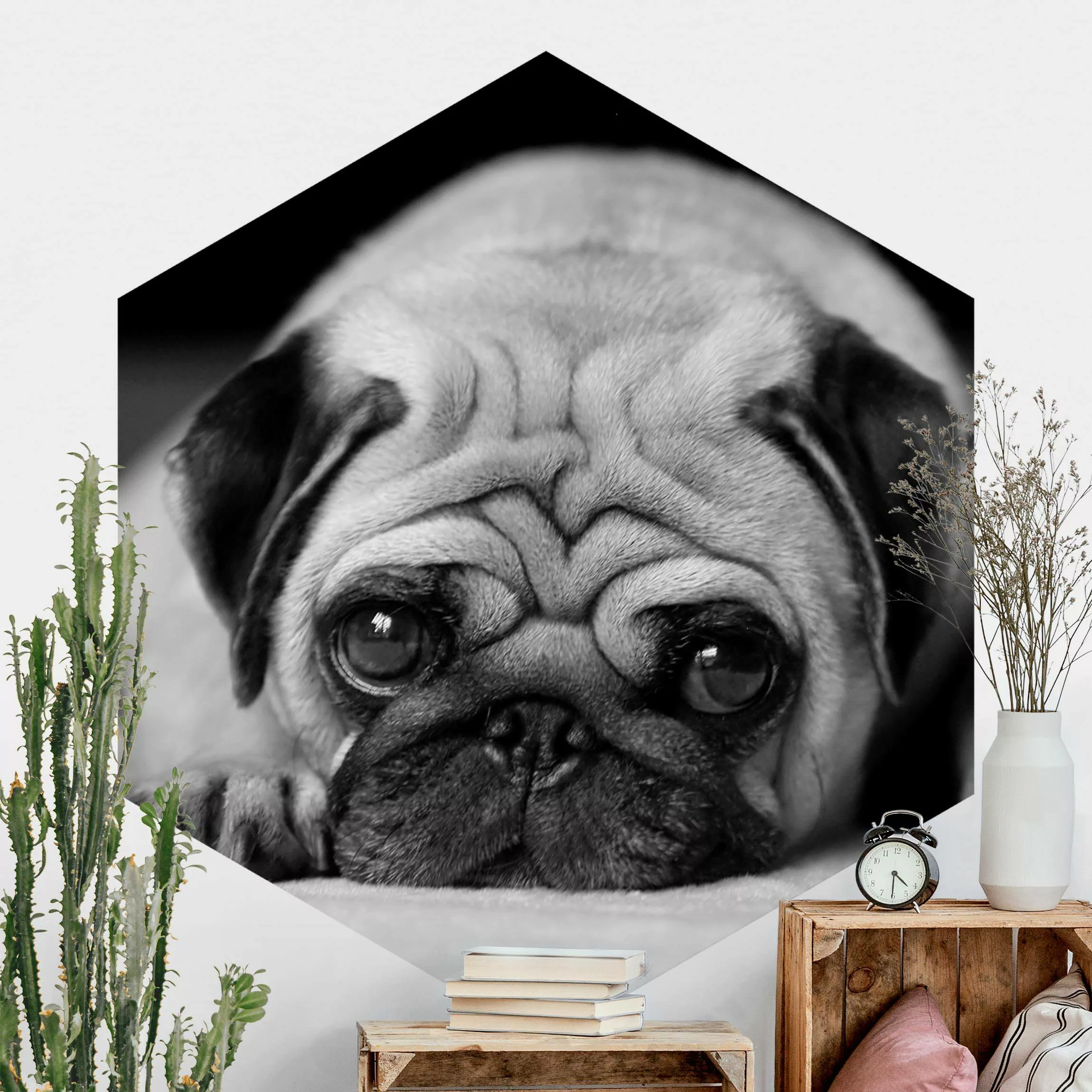Hexagon Fototapete selbstklebend Pug Loves You II günstig online kaufen