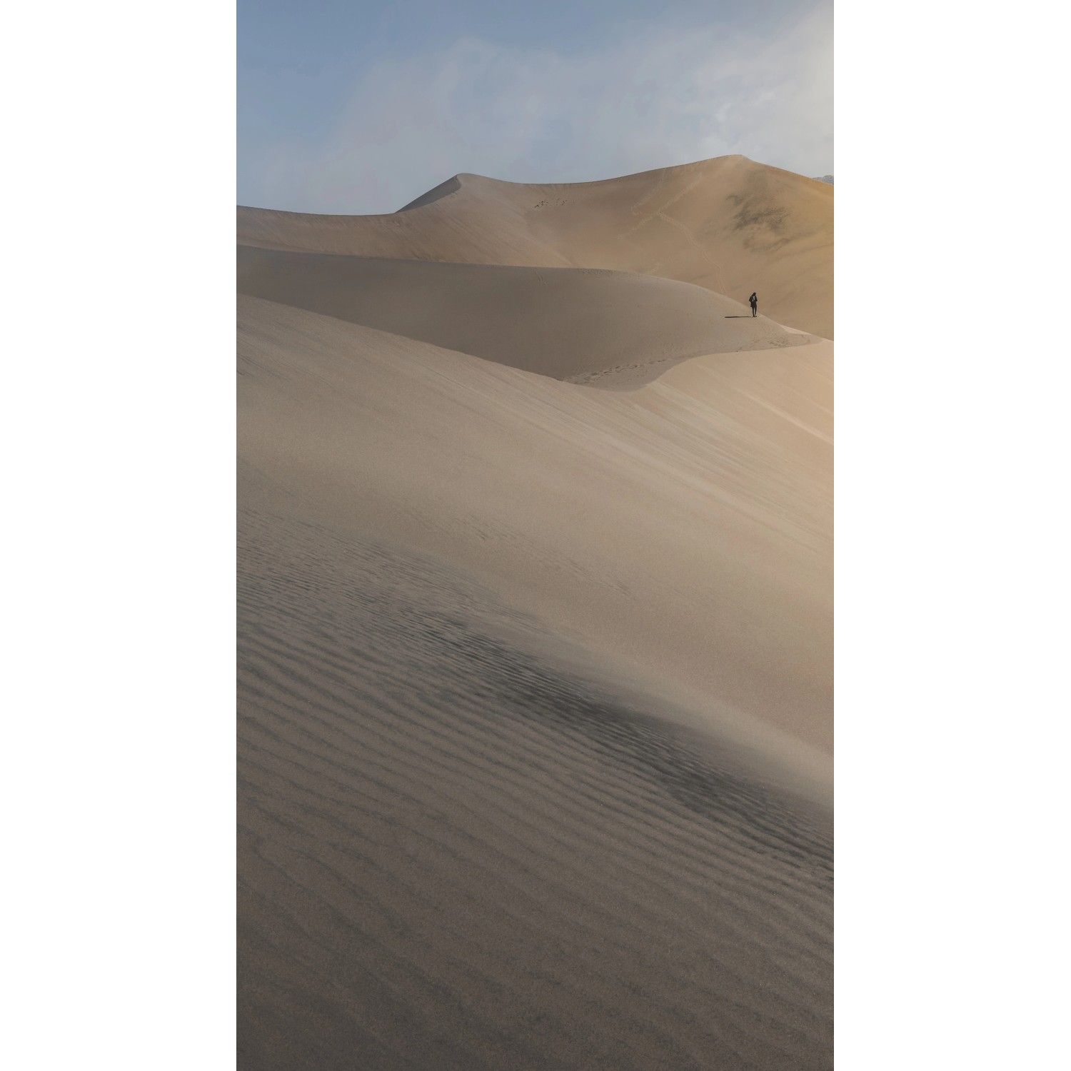 Erismann Digitaltapete Zooom Desert 270 cm x 150 cm günstig online kaufen