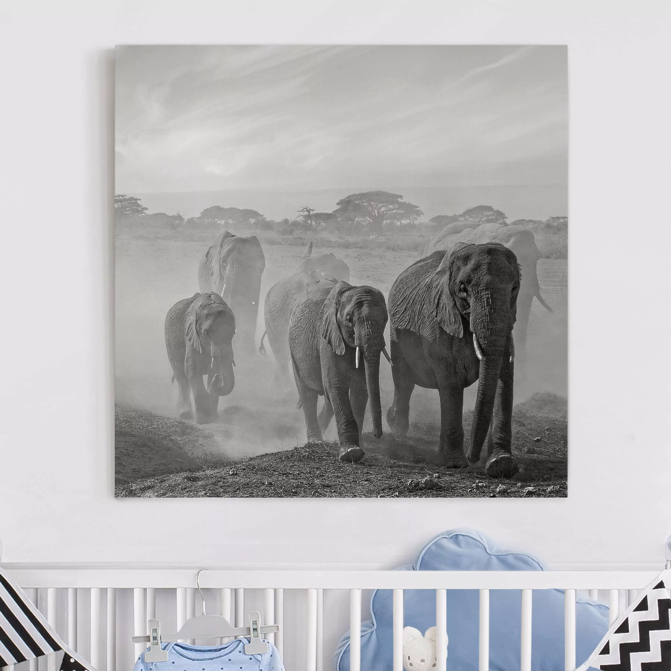 Leinwandbild Elefant - Quadrat Elefantenherde günstig online kaufen