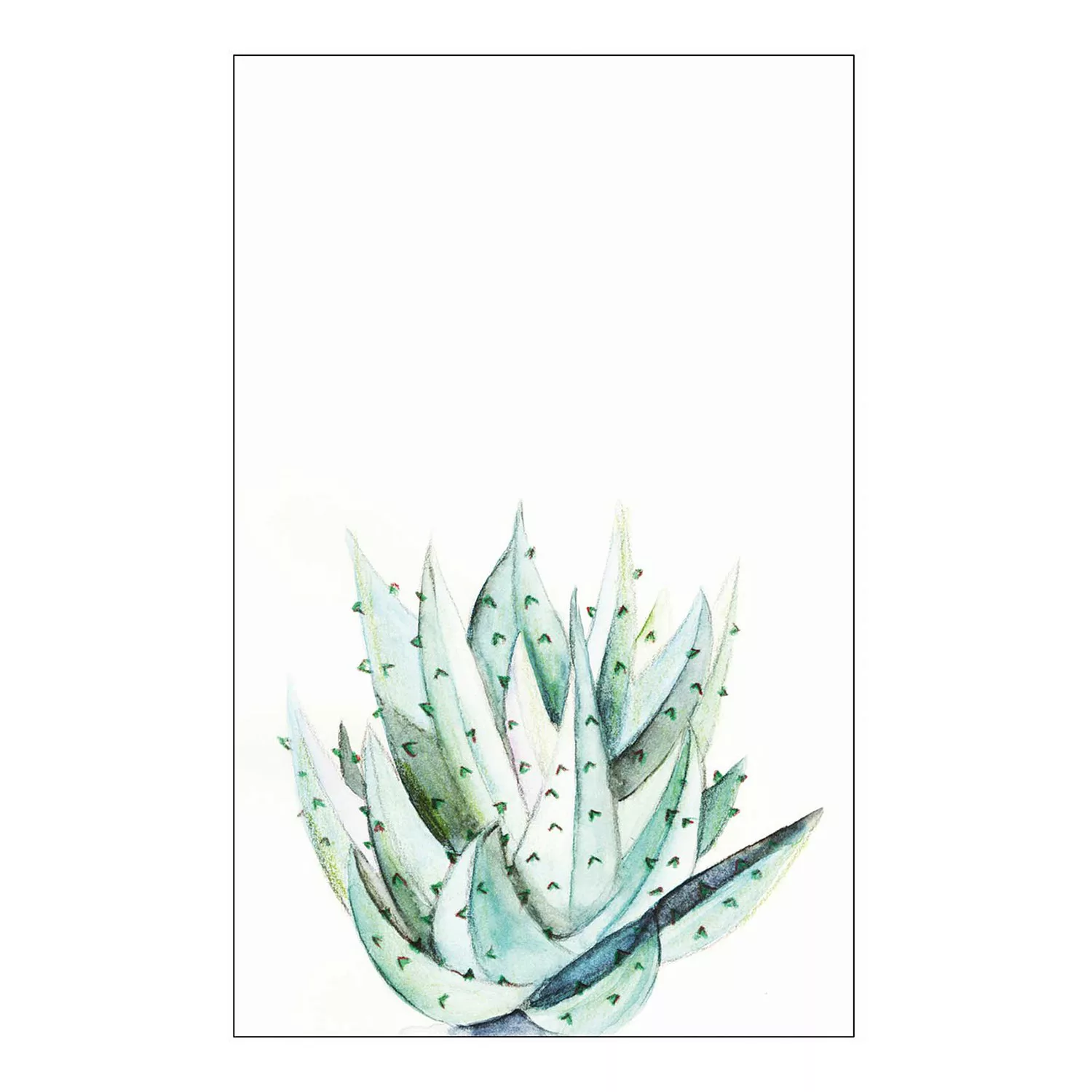 KOMAR Wandbild - Aloe Watercolor - Größe: 50 x 70 cm mehrfarbig Gr. one siz günstig online kaufen