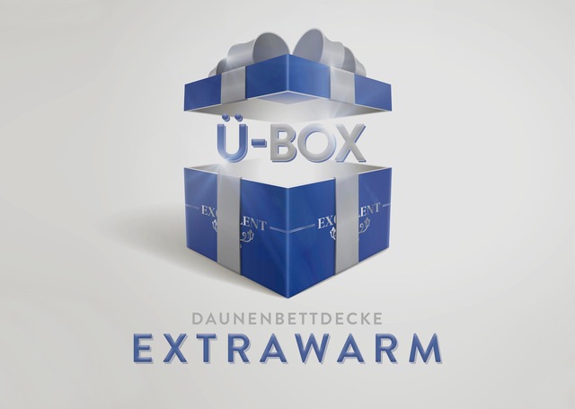 Excellent Daunenbettdecke »Überraschungsbox«, extrawarm, Füllung 90% Daunen günstig online kaufen