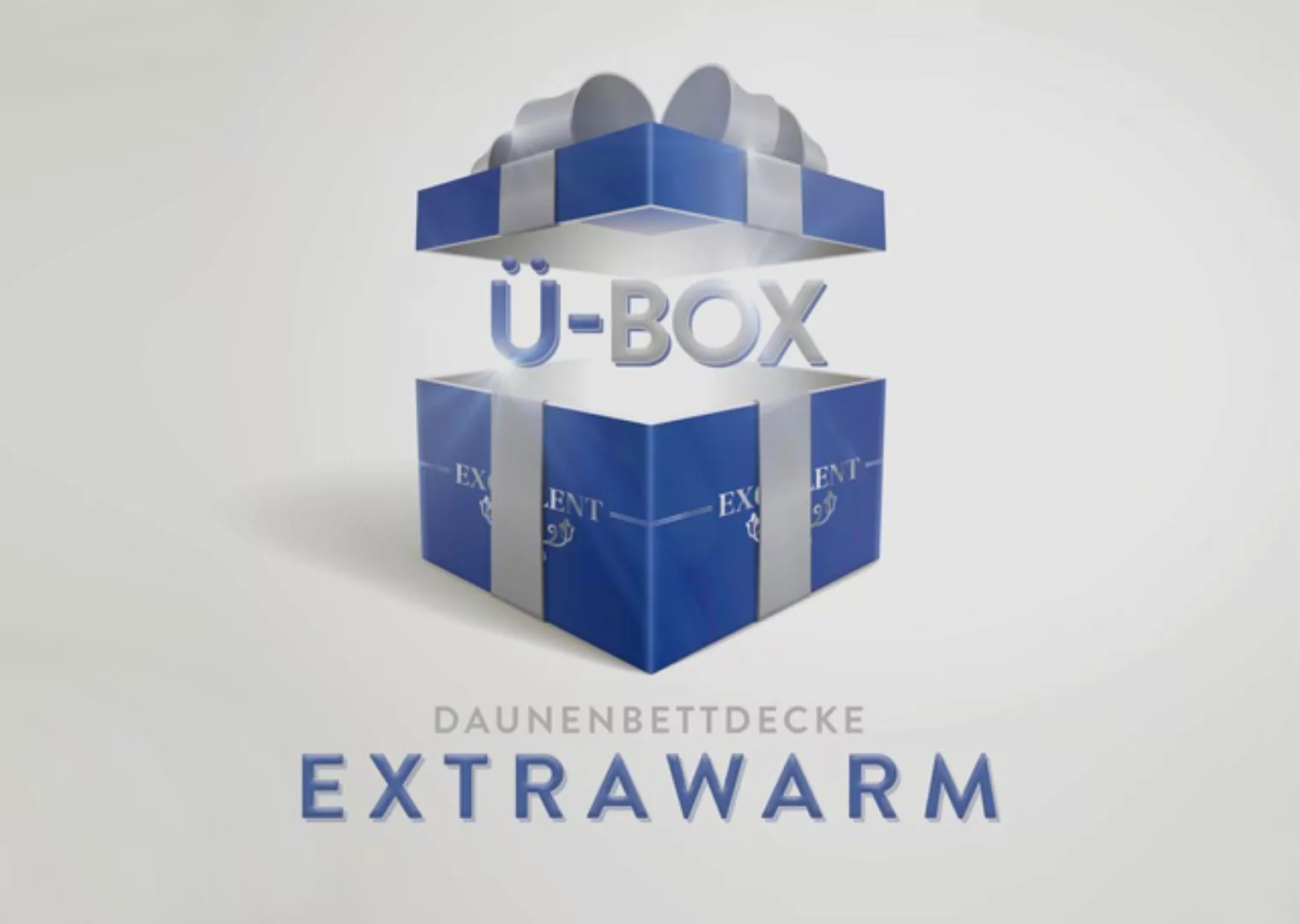 Excellent Daunenbettdecke »Überraschungsbox«, extrawarm, Füllung 90% Daunen günstig online kaufen