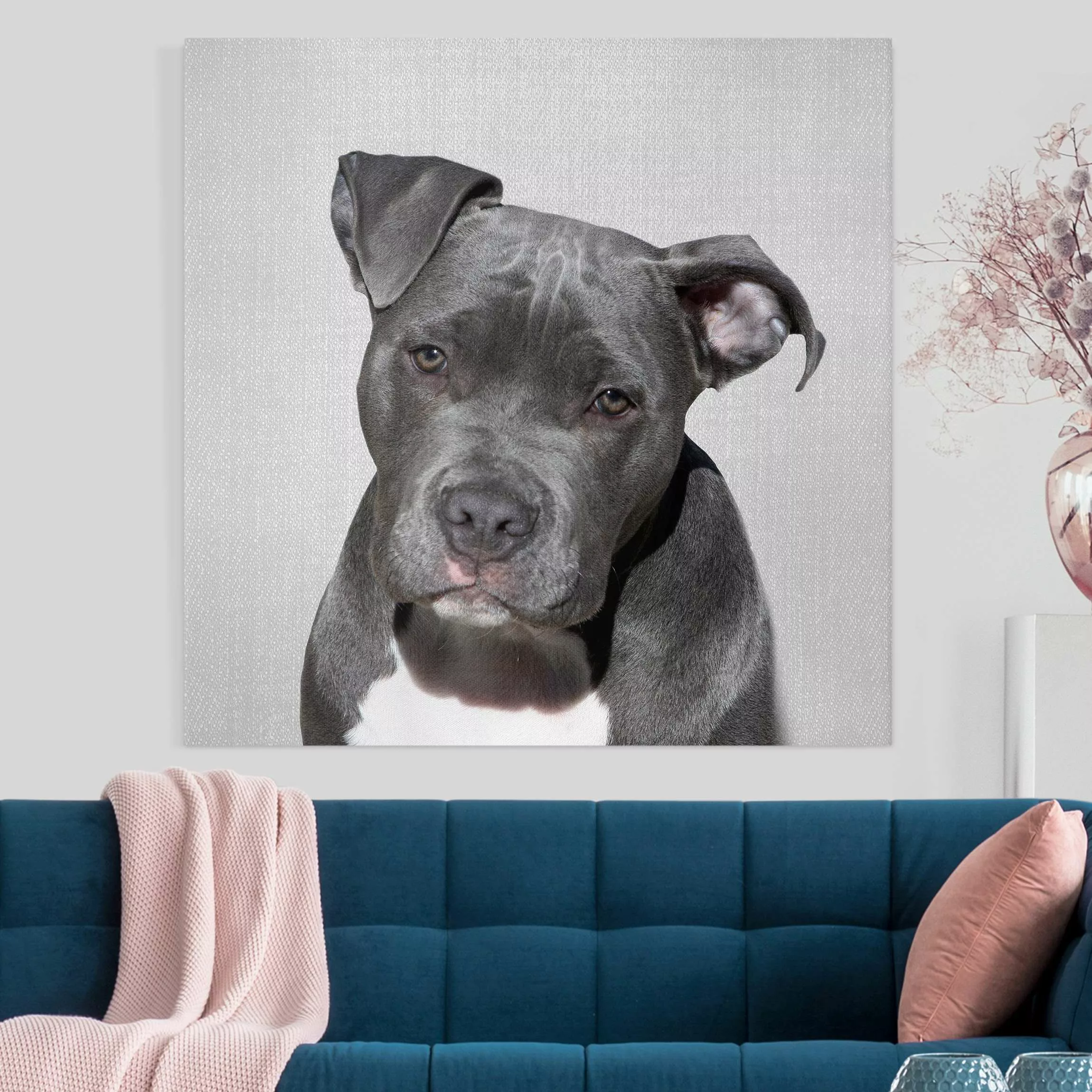 Leinwandbild Pitbull Pelle günstig online kaufen