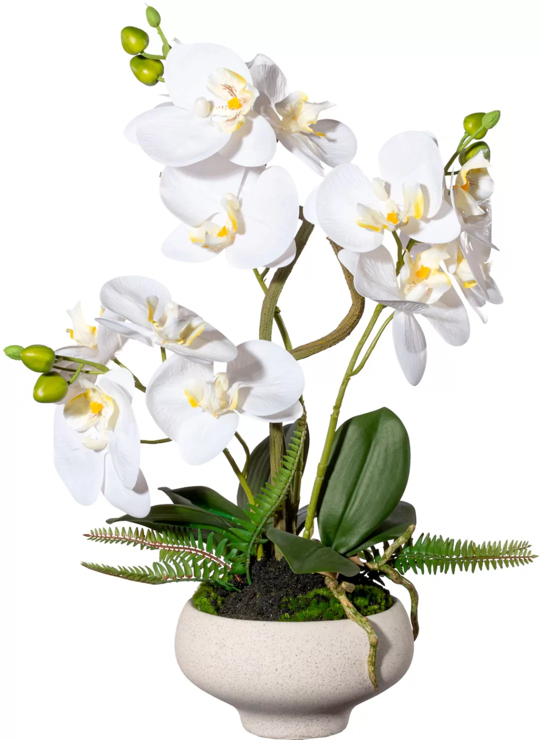 Creativ green Kunstorchidee "Orchidee Phalaenopsis im Keramiktopf" günstig online kaufen