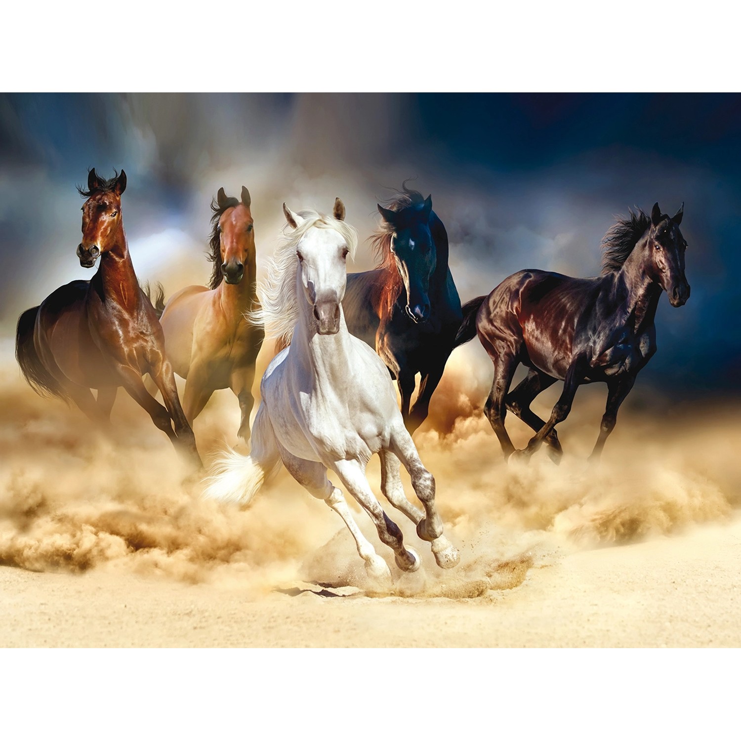 Sanders & Sanders Fototapete Pferde Beige und Blau 360 x 270 cm 600521 günstig online kaufen