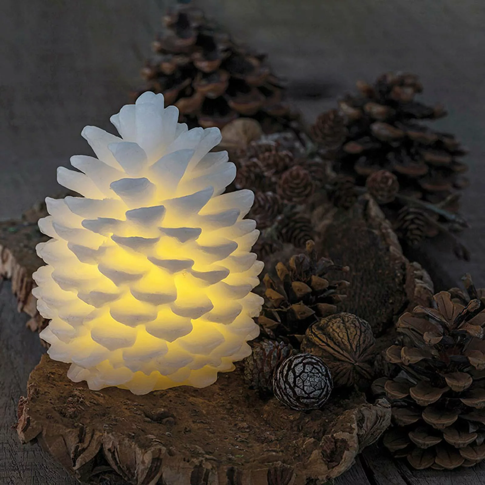 LED-Kerze Clara in Zapfenform, Höhe 14 cm günstig online kaufen