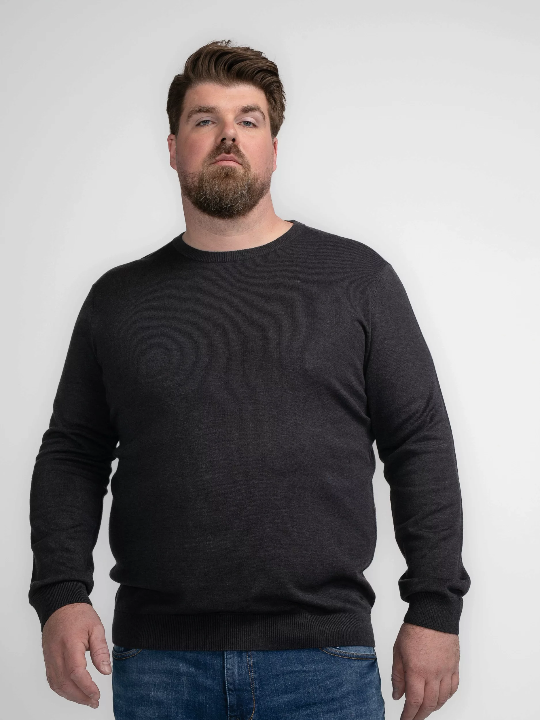 Petrol Industries Rundhalspullover "Men Knitwear Round Neck Basic" günstig online kaufen