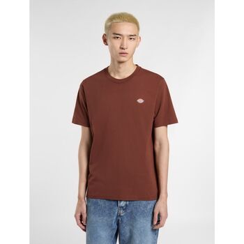 Dickies  T-Shirts & Poloshirts MAPLETON TEE SS DK0A4XDB-K471 CAPPUCCINO günstig online kaufen