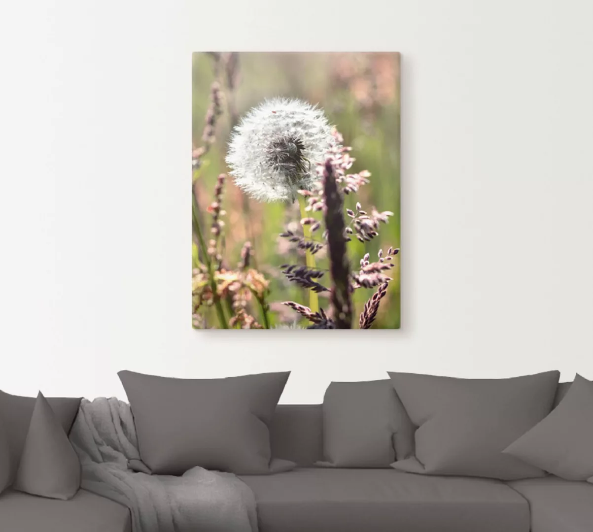 Artland Wandbild "Pusteblume III", Blumen, (1 St.), als Leinwandbild, Poste günstig online kaufen