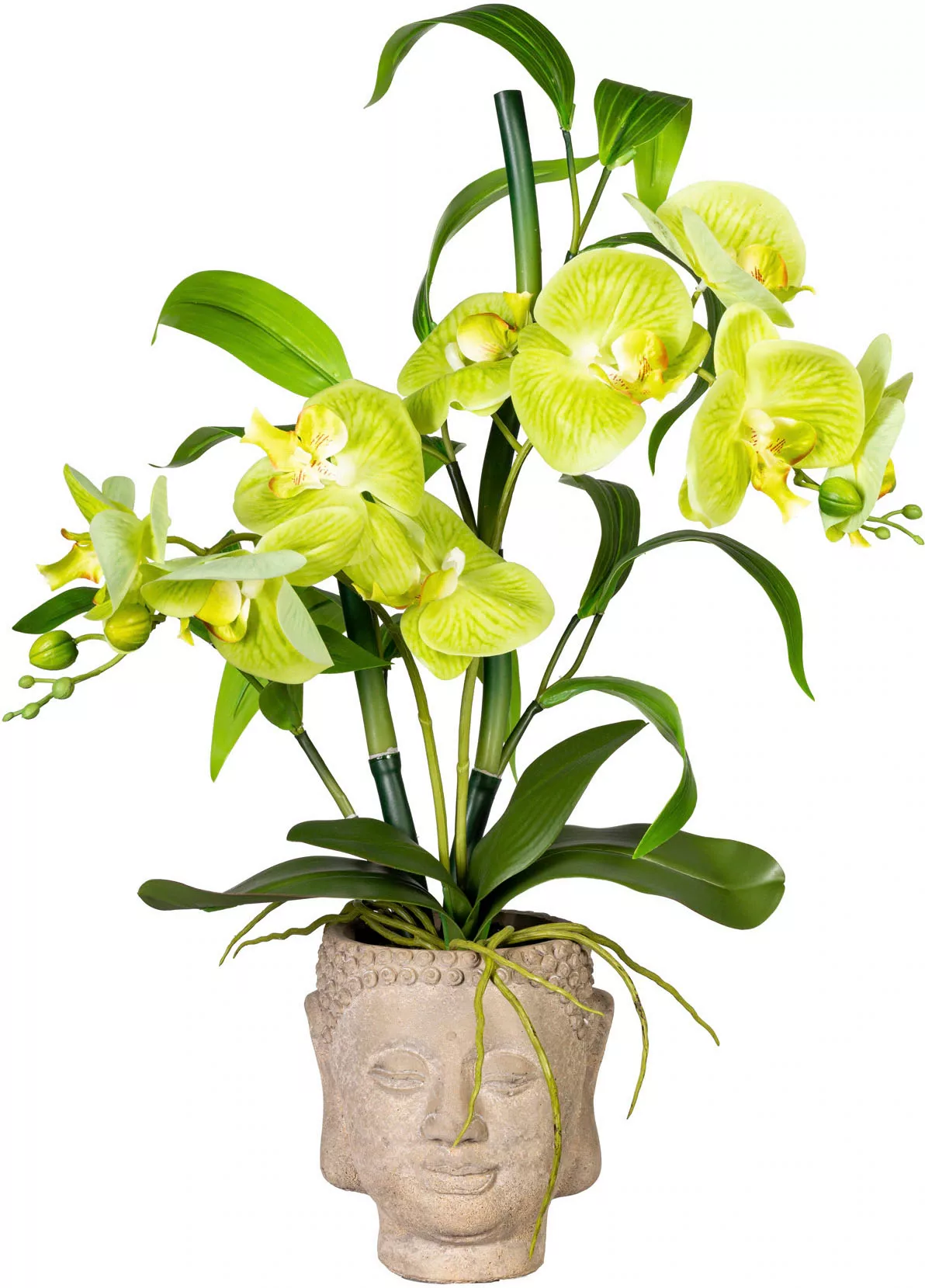 Creativ green Kunstorchidee "Orchideen-Bambus-Arrangement im Buddhakopf" günstig online kaufen