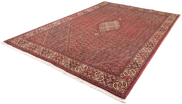 morgenland Orientteppich »Perser - Bidjar - 305 x 202 cm - braun«, rechteck günstig online kaufen