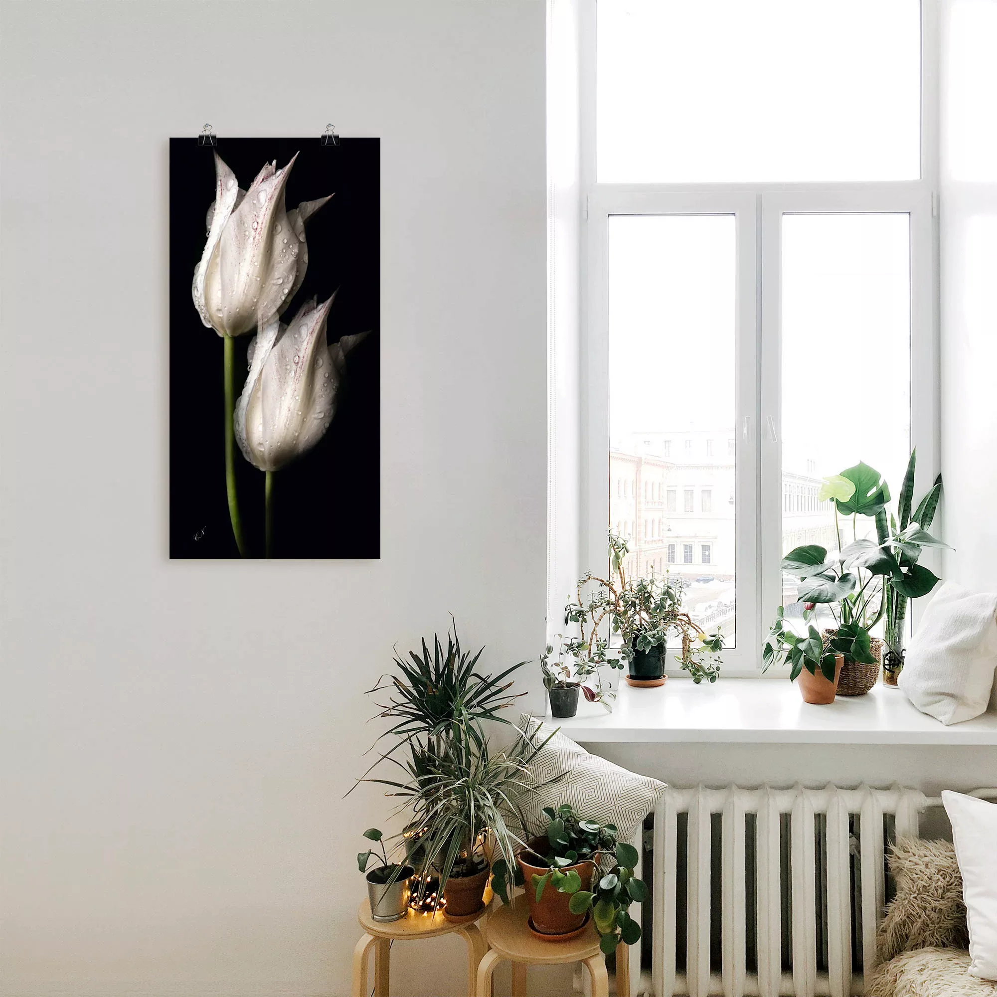 Artland Wandbild »Weiße Tulpen in der Nacht«, Blumenbilder, (1 St.), als Al günstig online kaufen