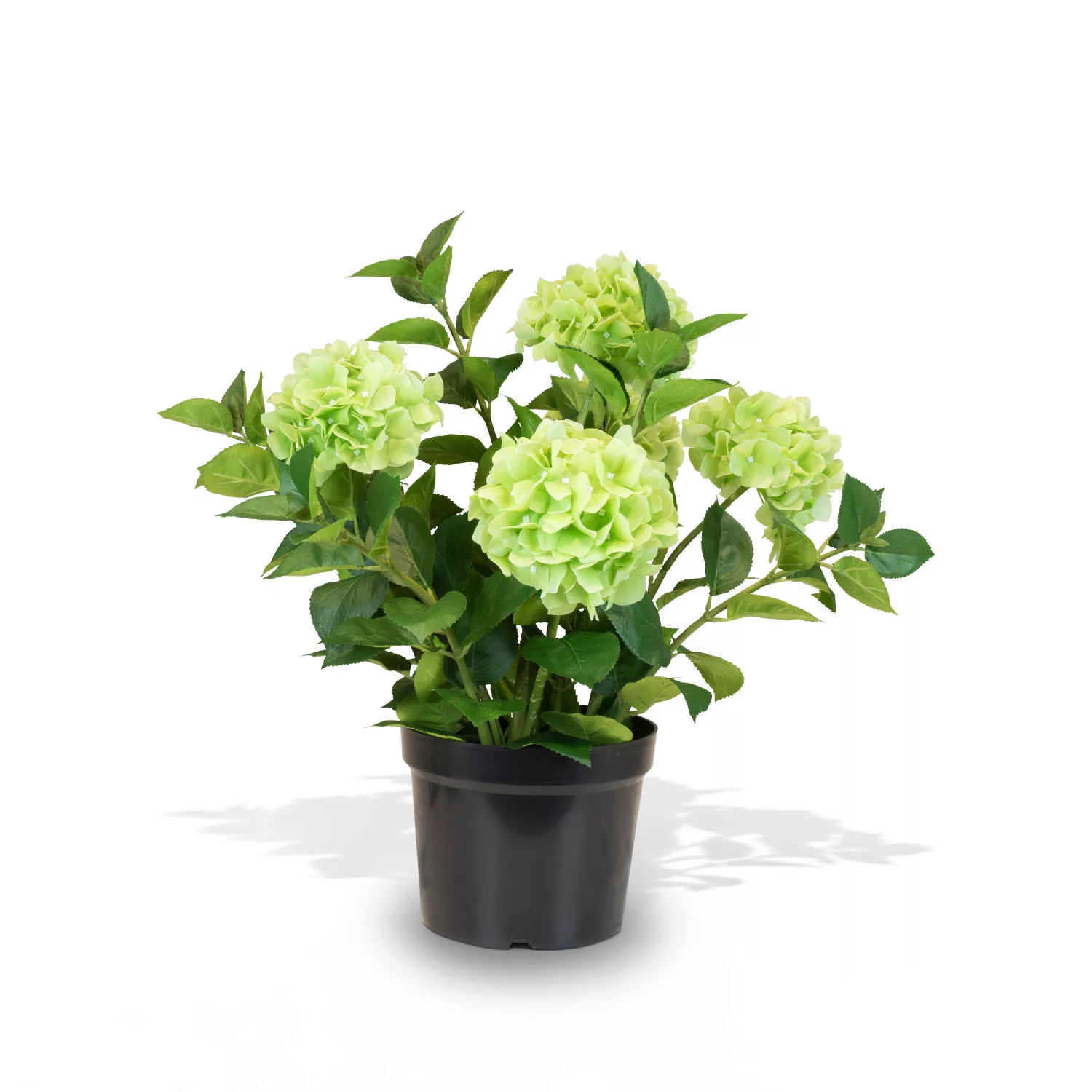 Hortensie - Hydrangea Kunstpflanze, 5 Blüten grün günstig online kaufen