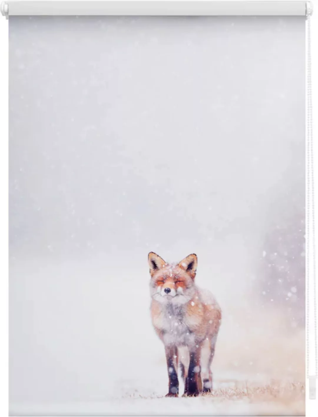 LICHTBLICK ORIGINAL Seitenzugrollo »Klemmfix Motiv Fuchs im Schnee«, Lichts günstig online kaufen